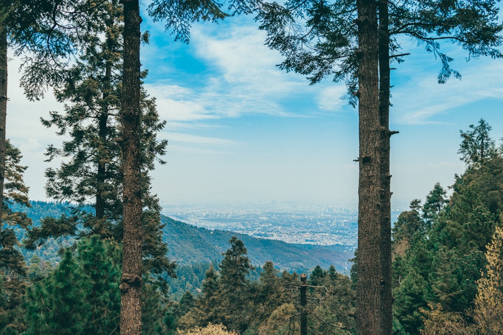 Une vue d’une ville depuis le sommet d’une colline