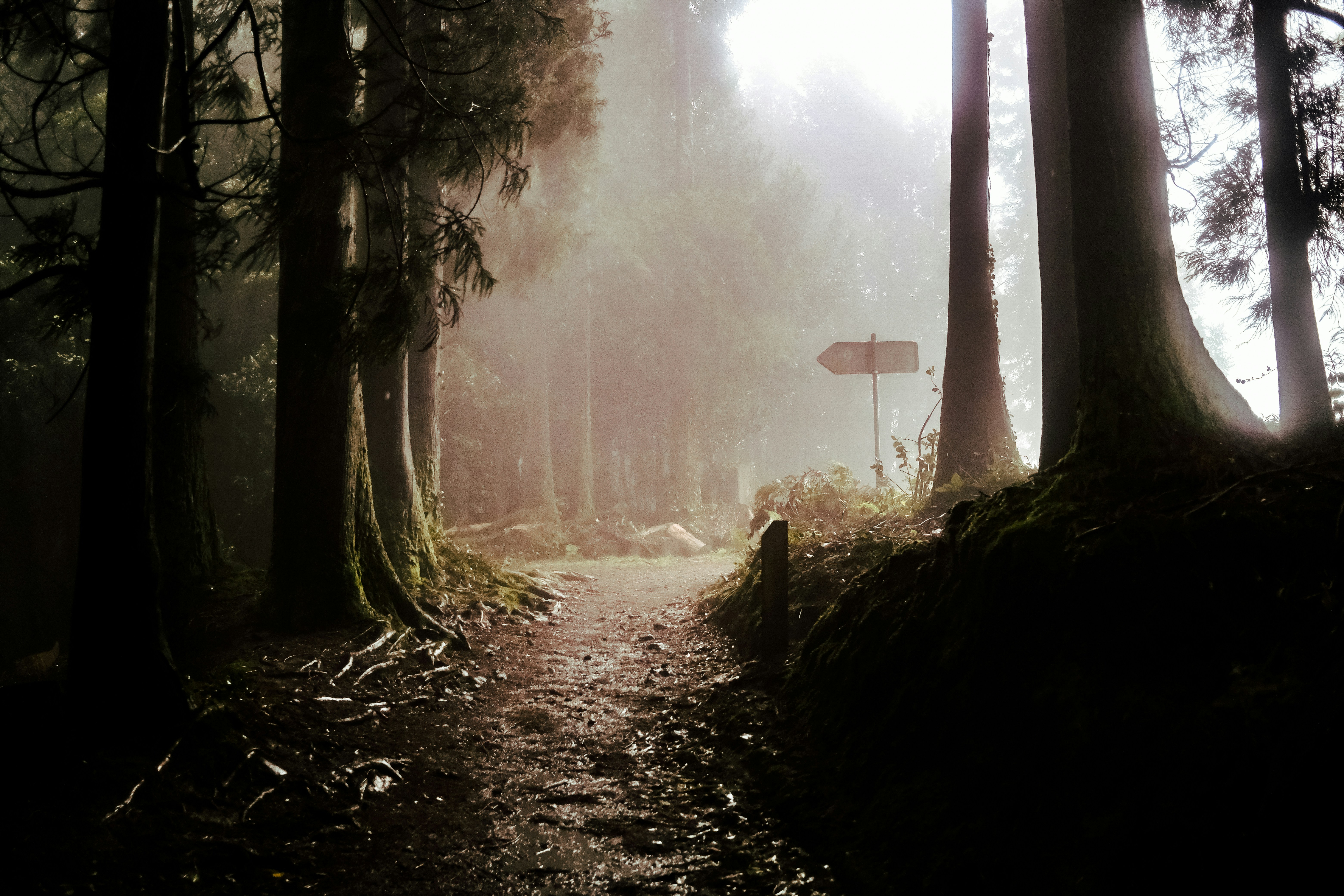 Photo by fromaugusto