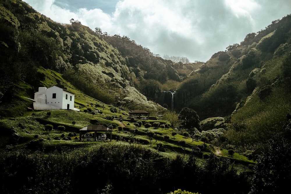 a white house sitting on top of a lush green hillside