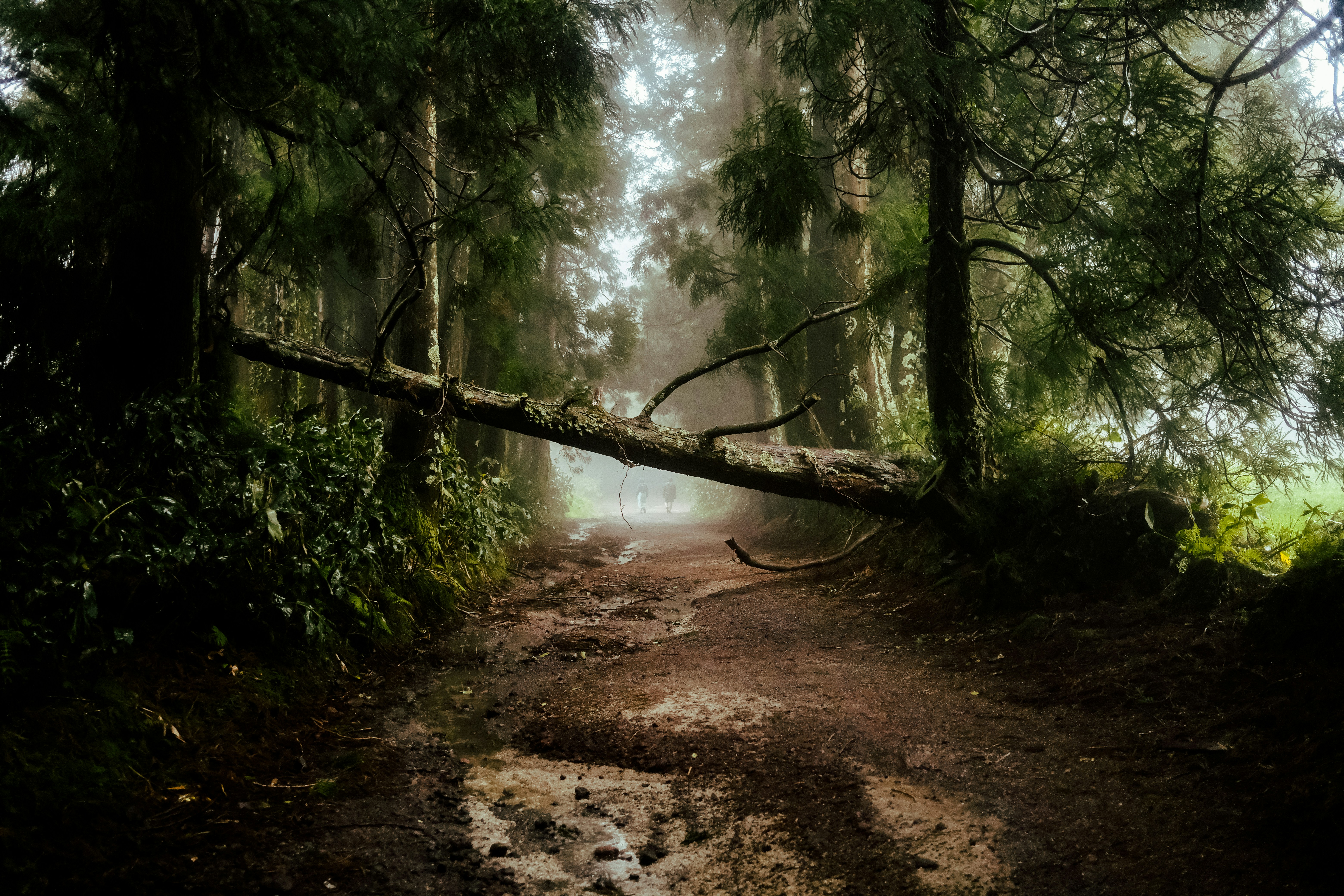 Photo by fromaugusto