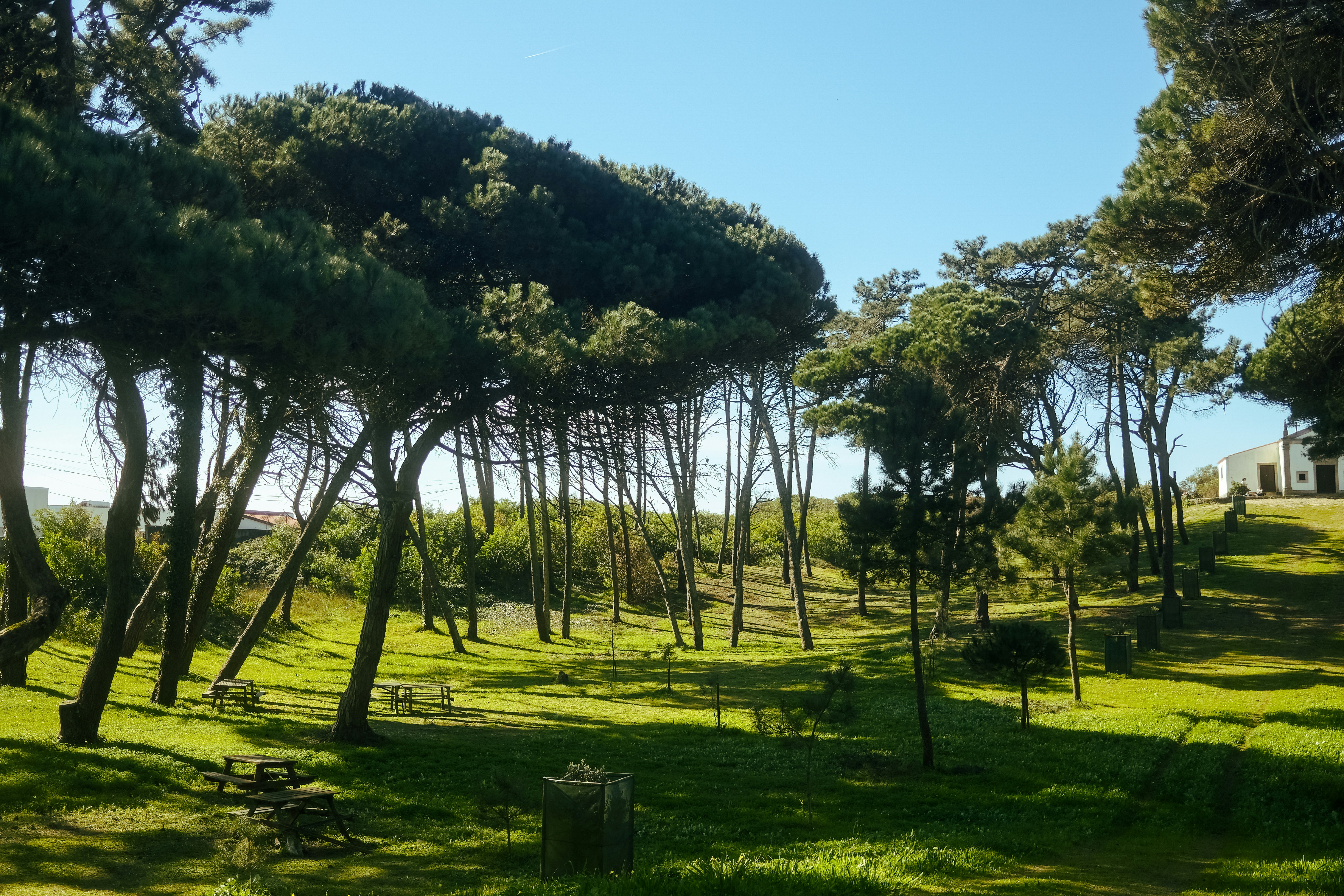 Photo by fromaugusto