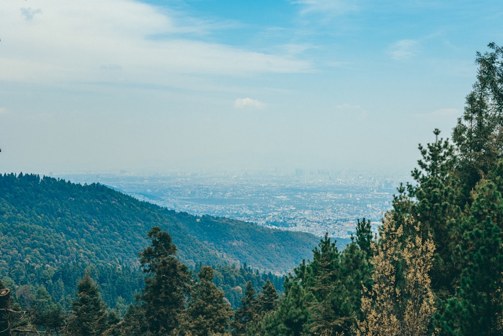 a view of a city from the top of a hill