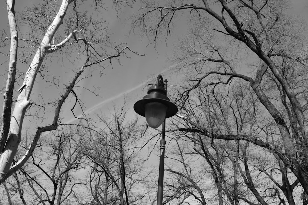 a black and white photo of a street light