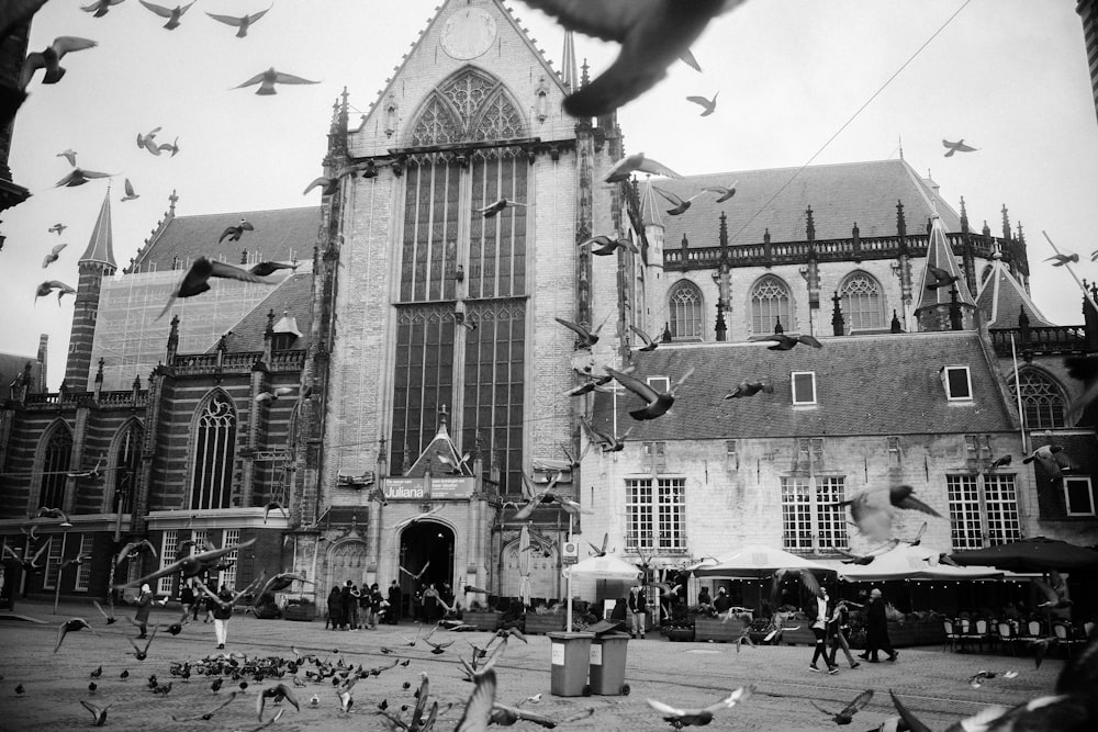a flock of birds flying around a large building