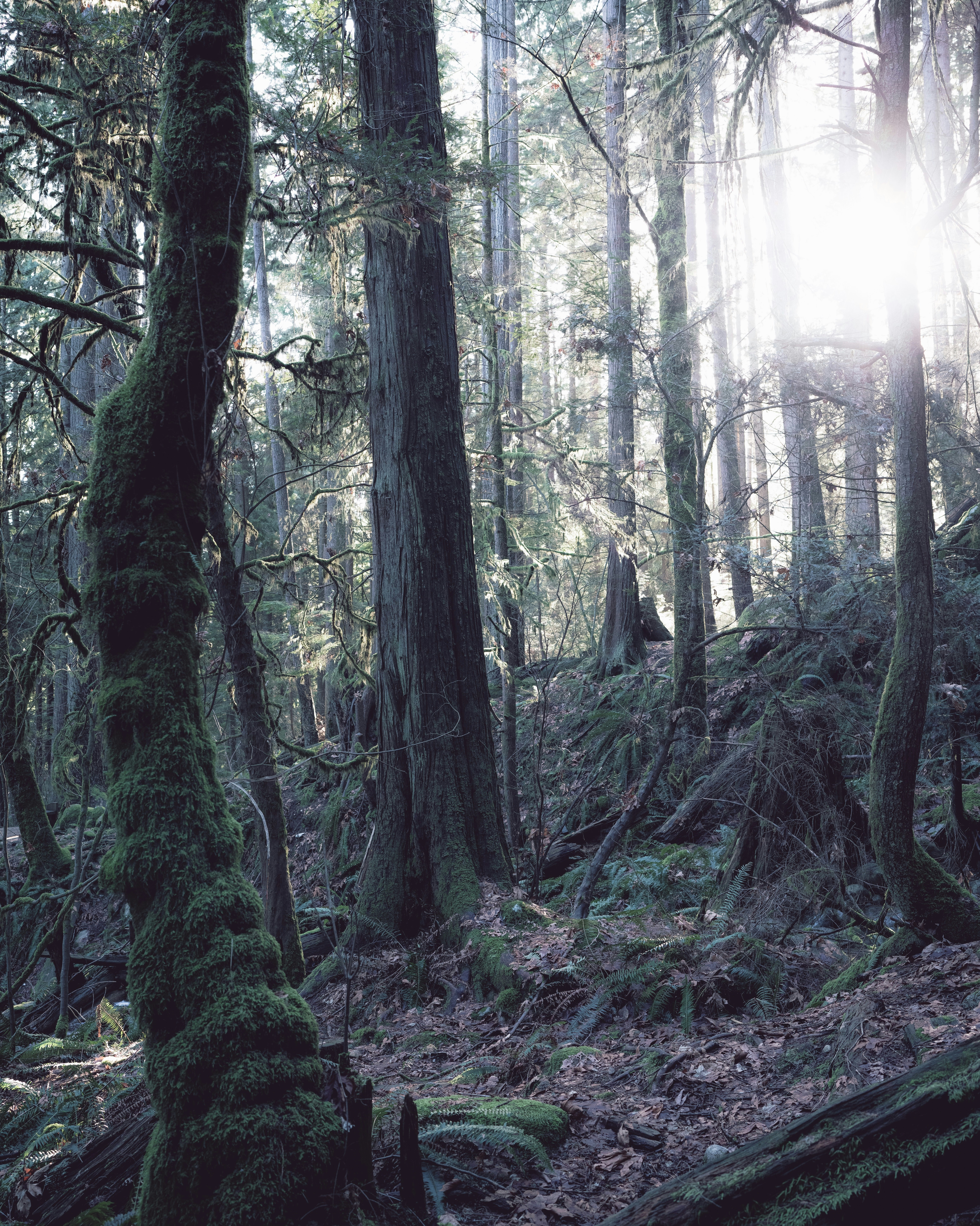 Photo by arianmontazeri