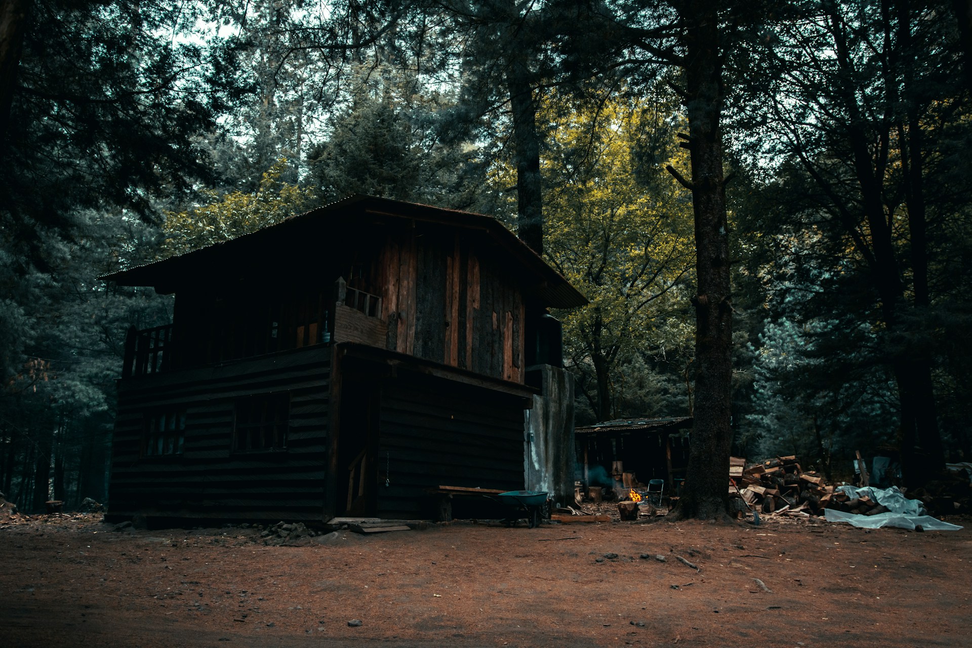 a cabin in the middle of a forest