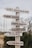 A wooden signpost outdoors features several directional signs, each pointing to different locations such as a loft restaurant, farm store, chef's garden, dairy bar, tours, and milking parlor. The signpost is surrounded by natural elements like bushes and tall grass with a muted, overcast sky in the background.