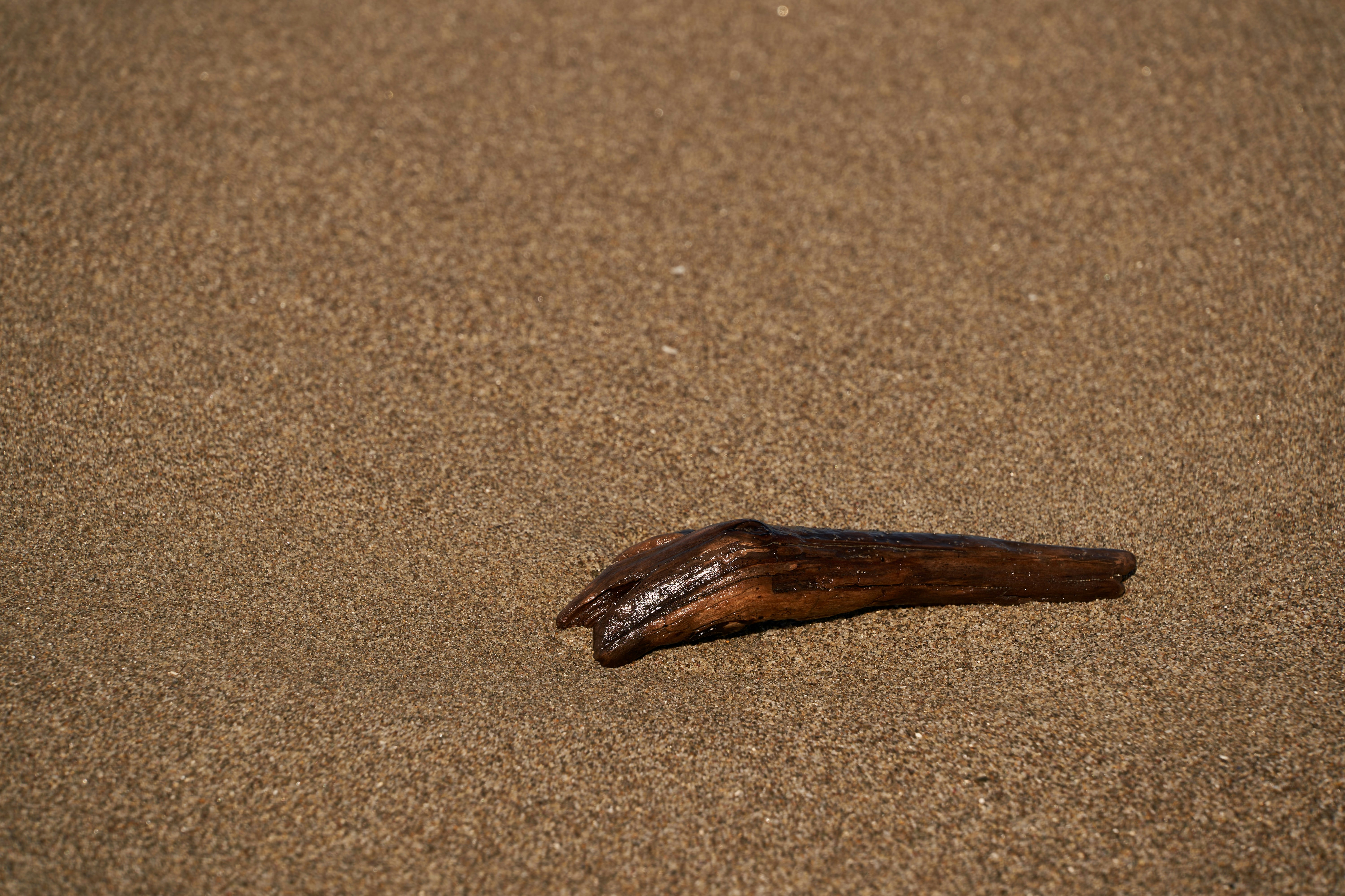 Photo by wolfgang_hasselmann