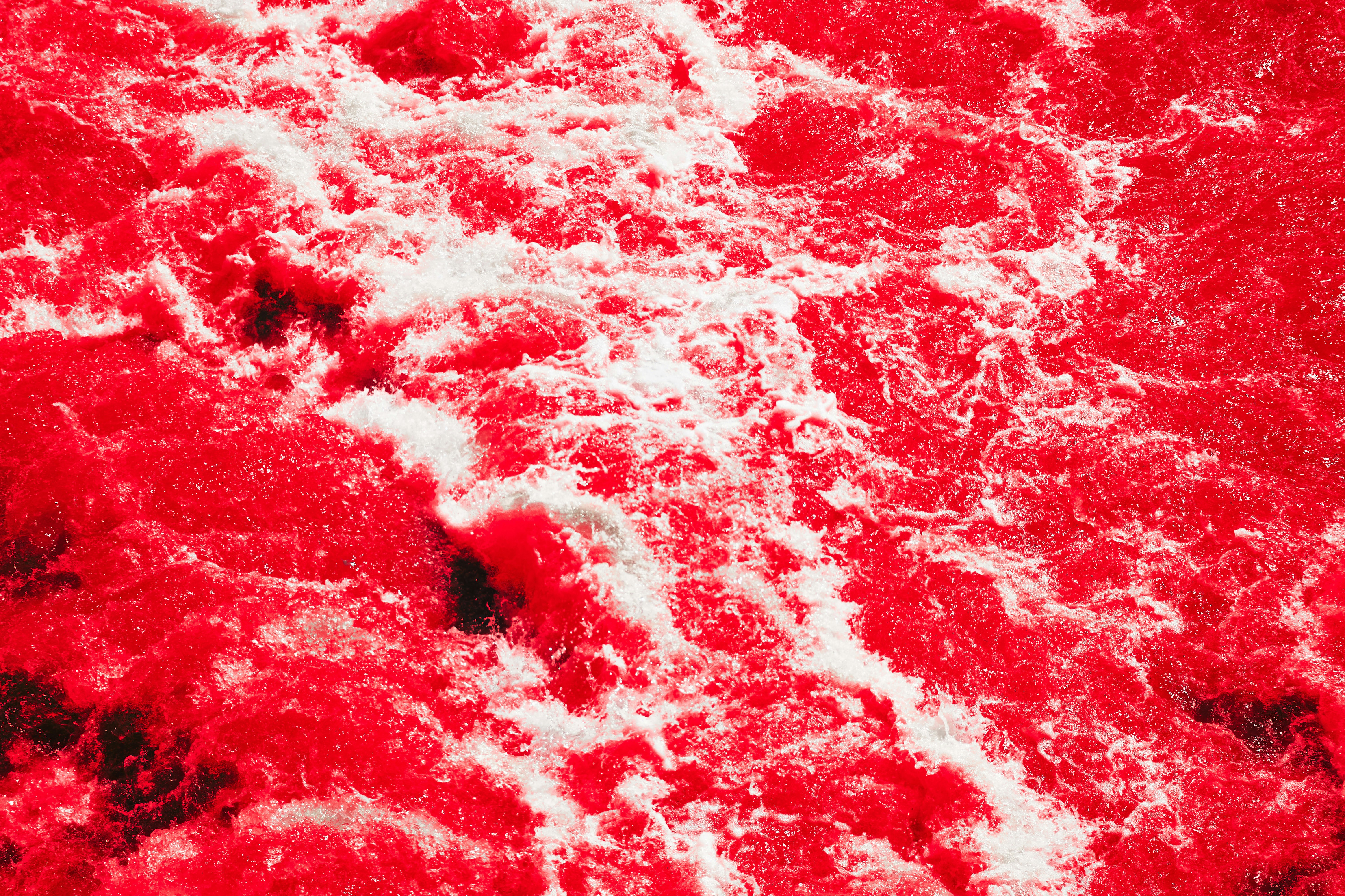 Photo by wolfgang_hasselmann