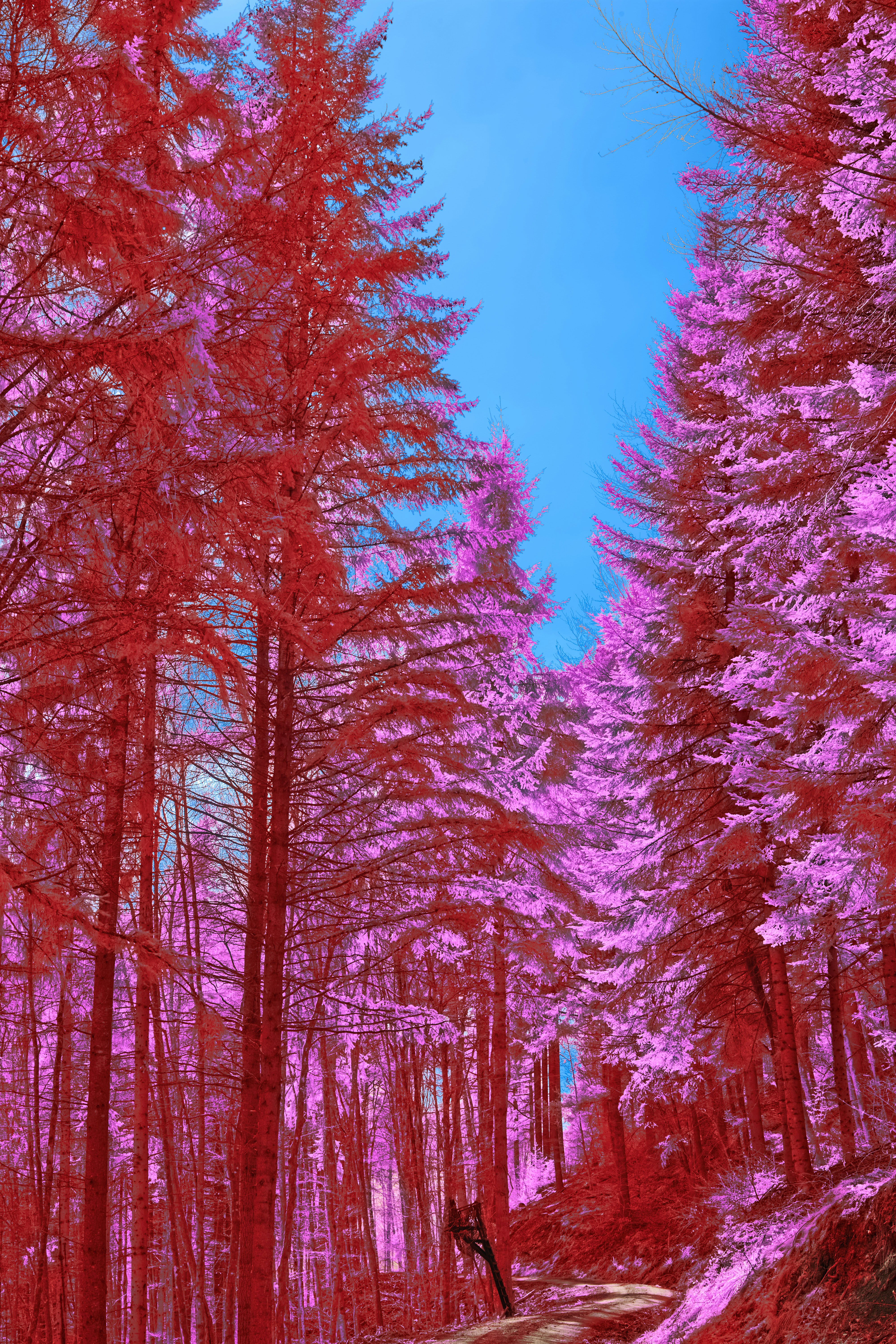 Photo by wolfgang_hasselmann