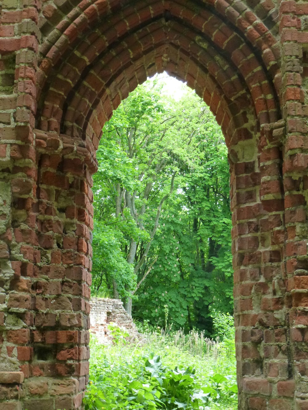 an arch in a brick wall with a forest in the background