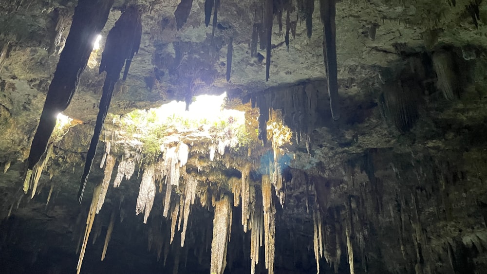 Une grotte remplie de beaucoup de stalates suspendues au plafond