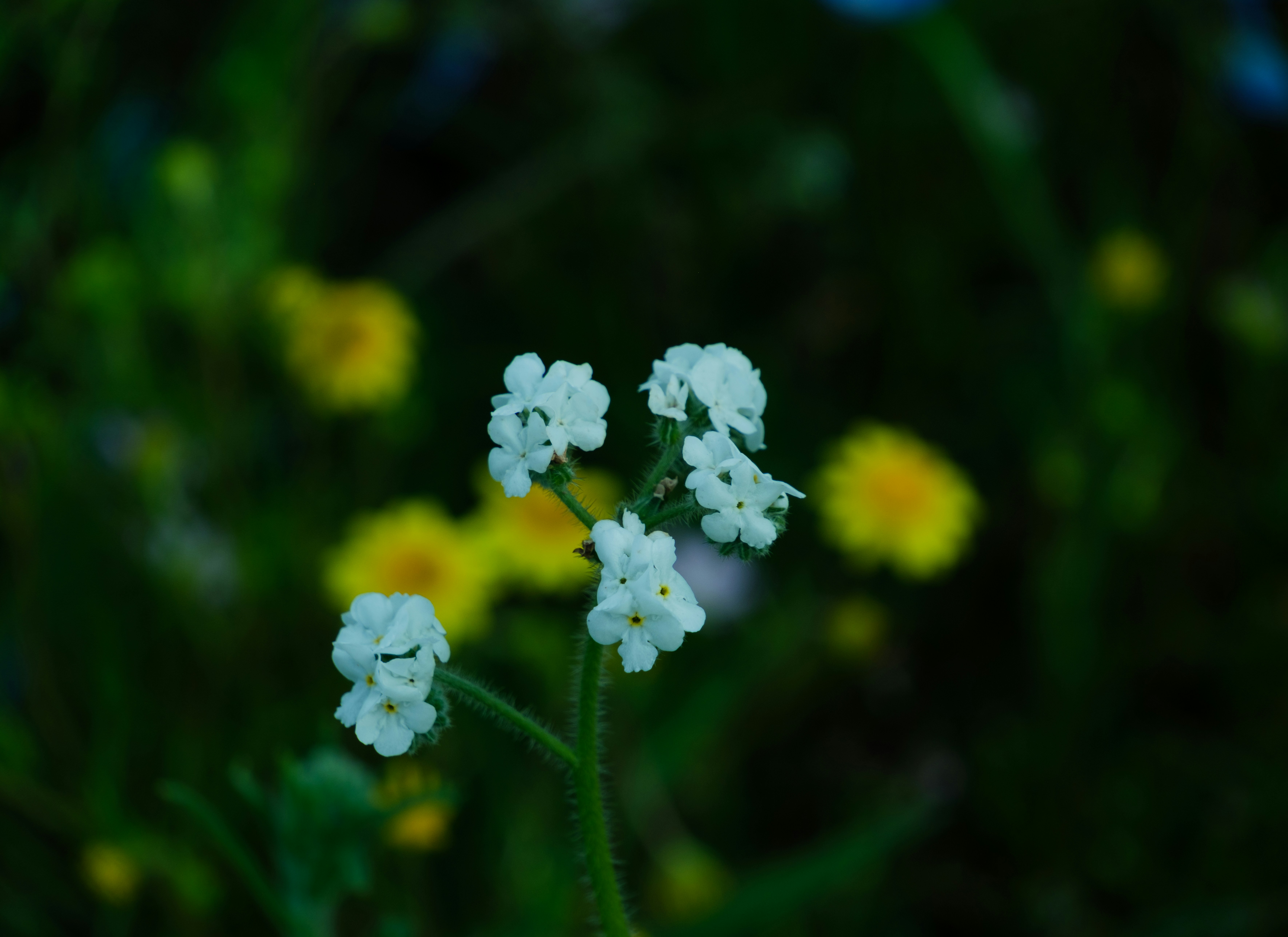 Photo by april_vasquez