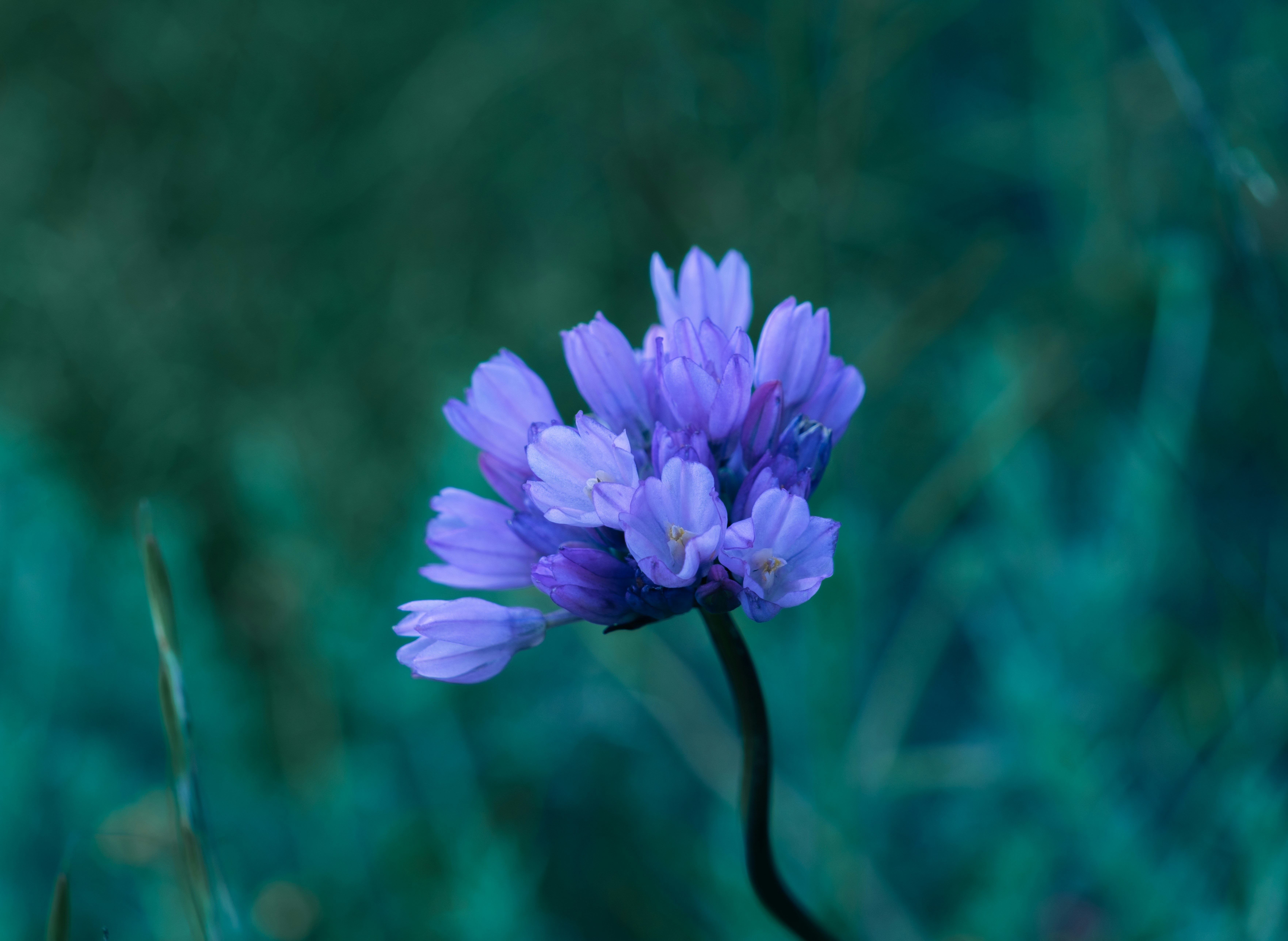 Photo by april_vasquez