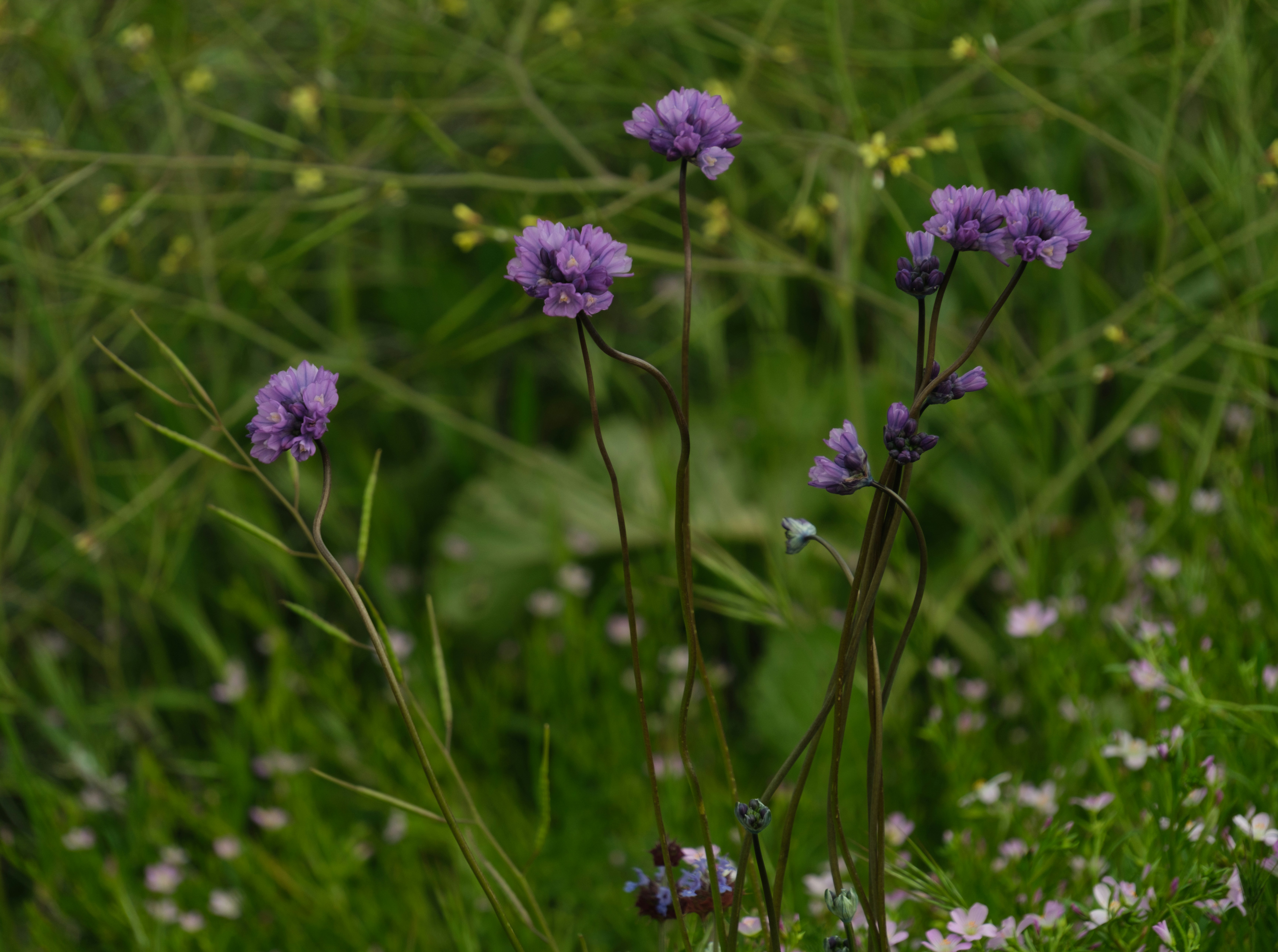 Photo by april_vasquez