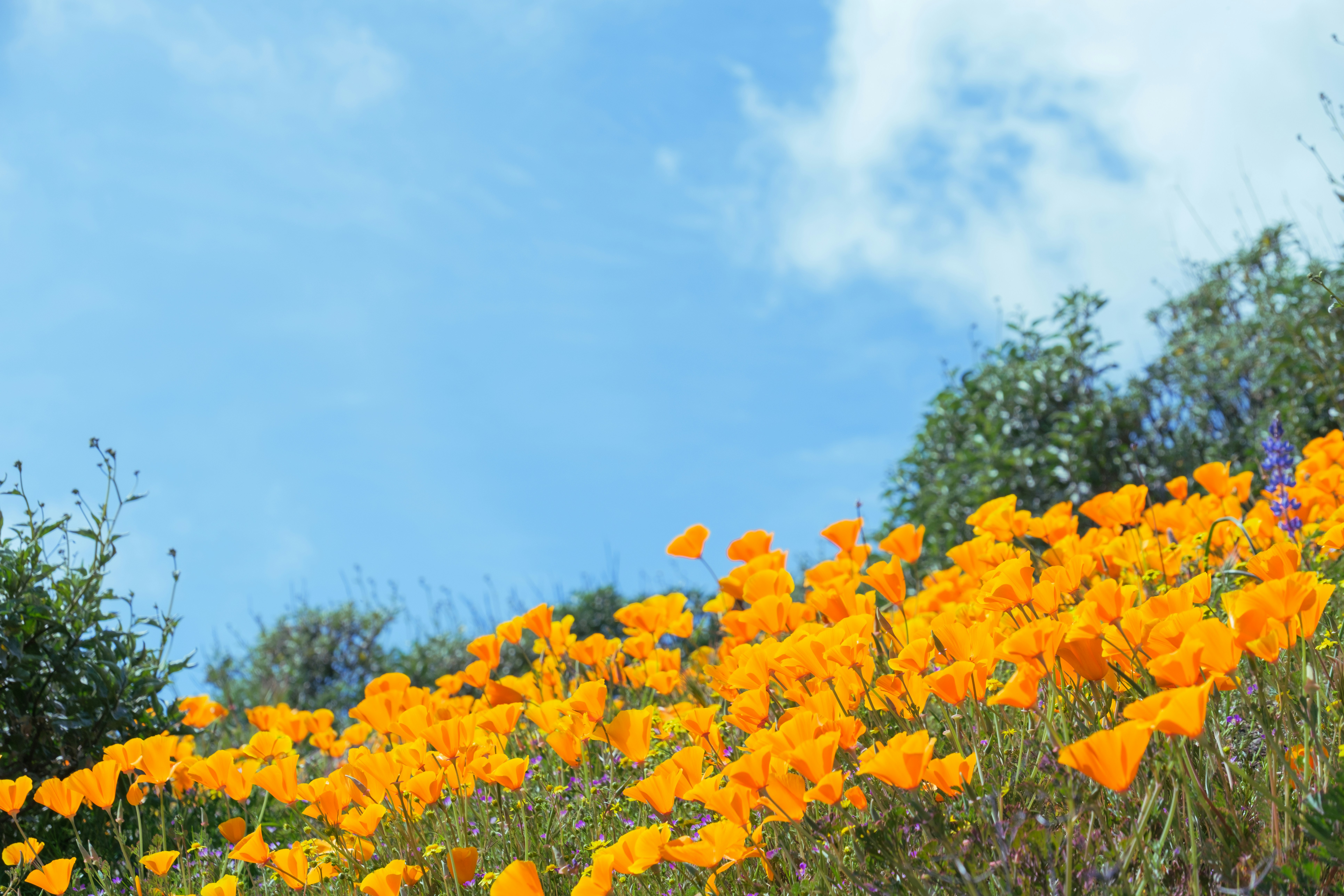 Photo by april_vasquez