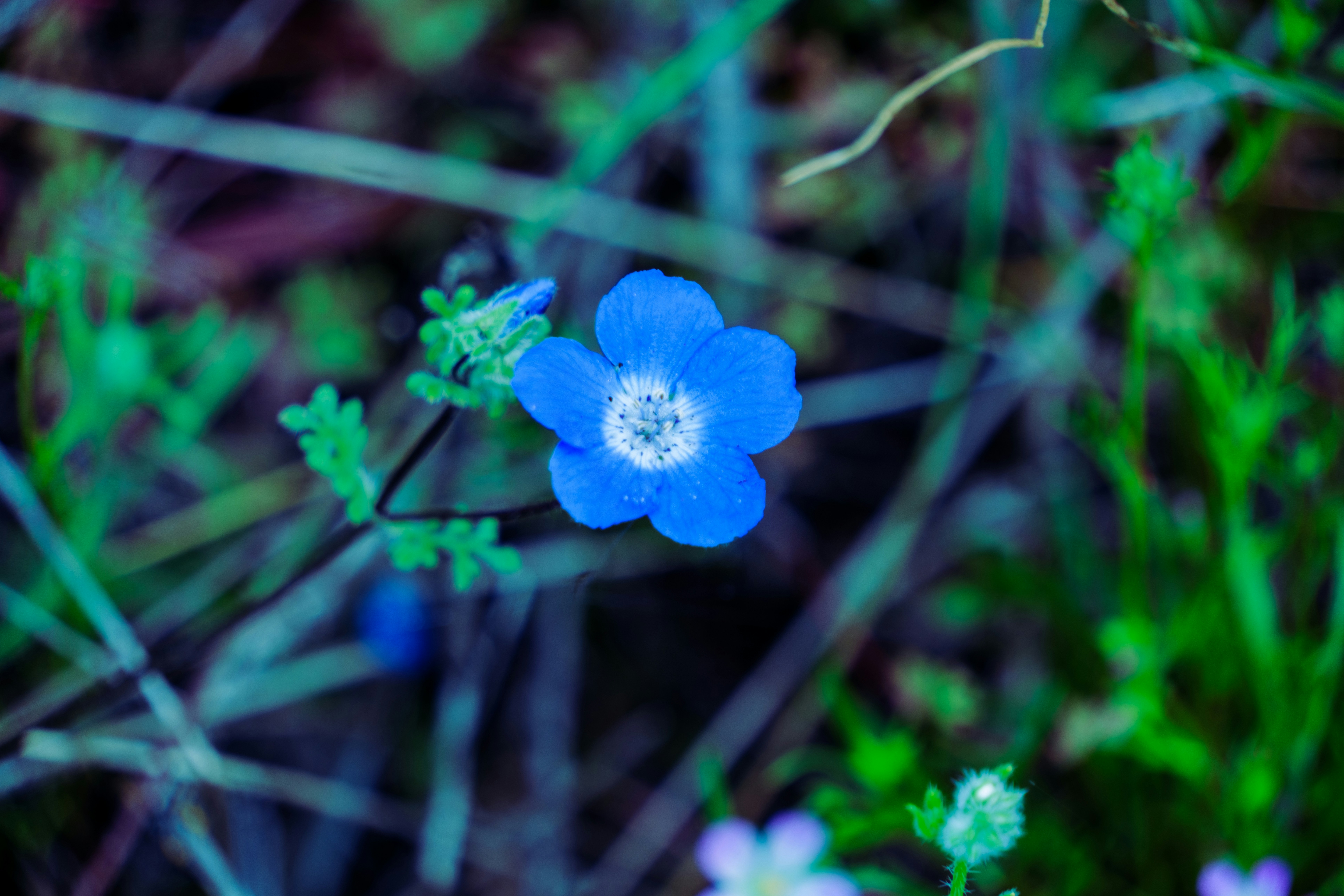 Photo by april_vasquez