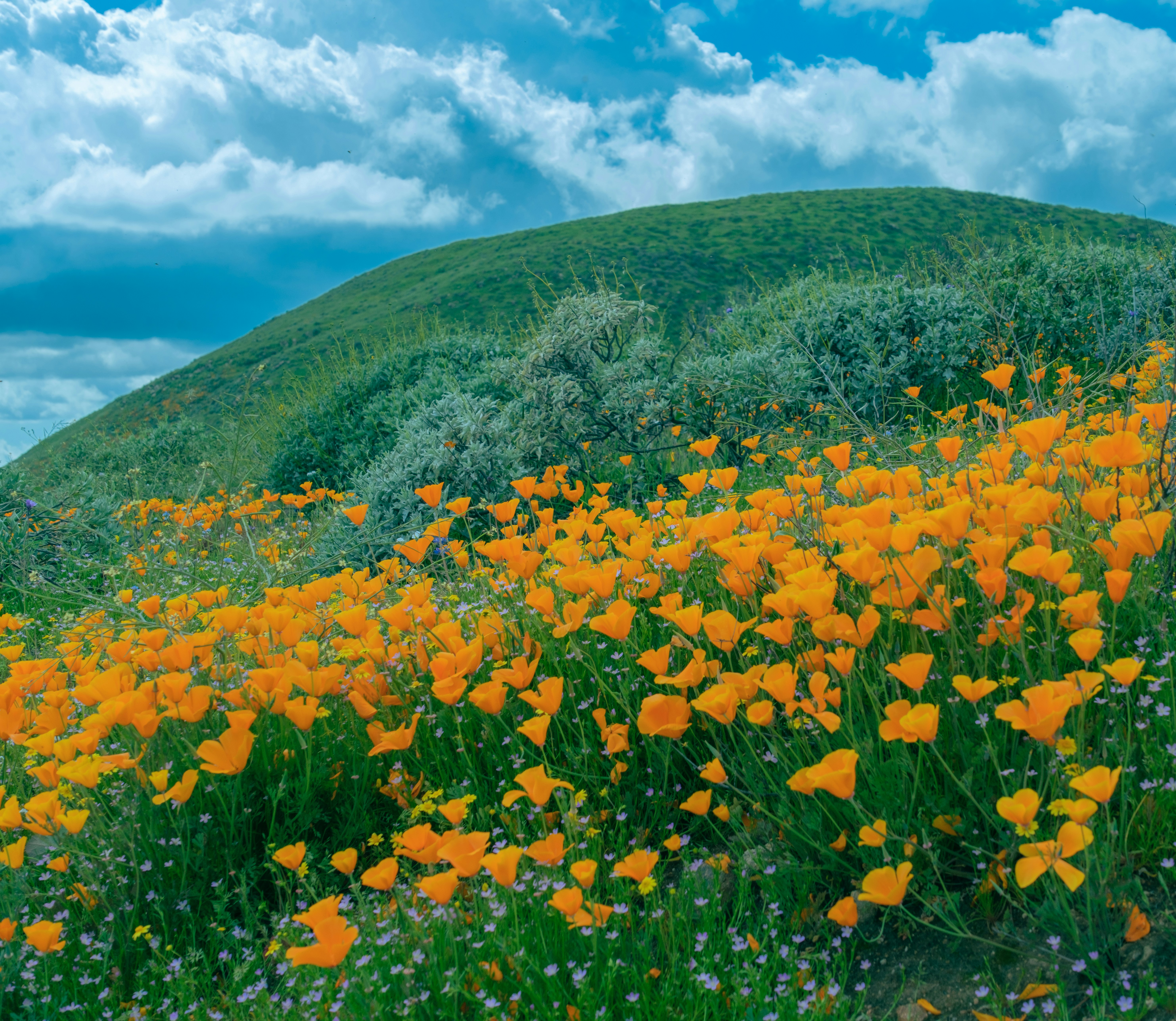 Photo by april_vasquez