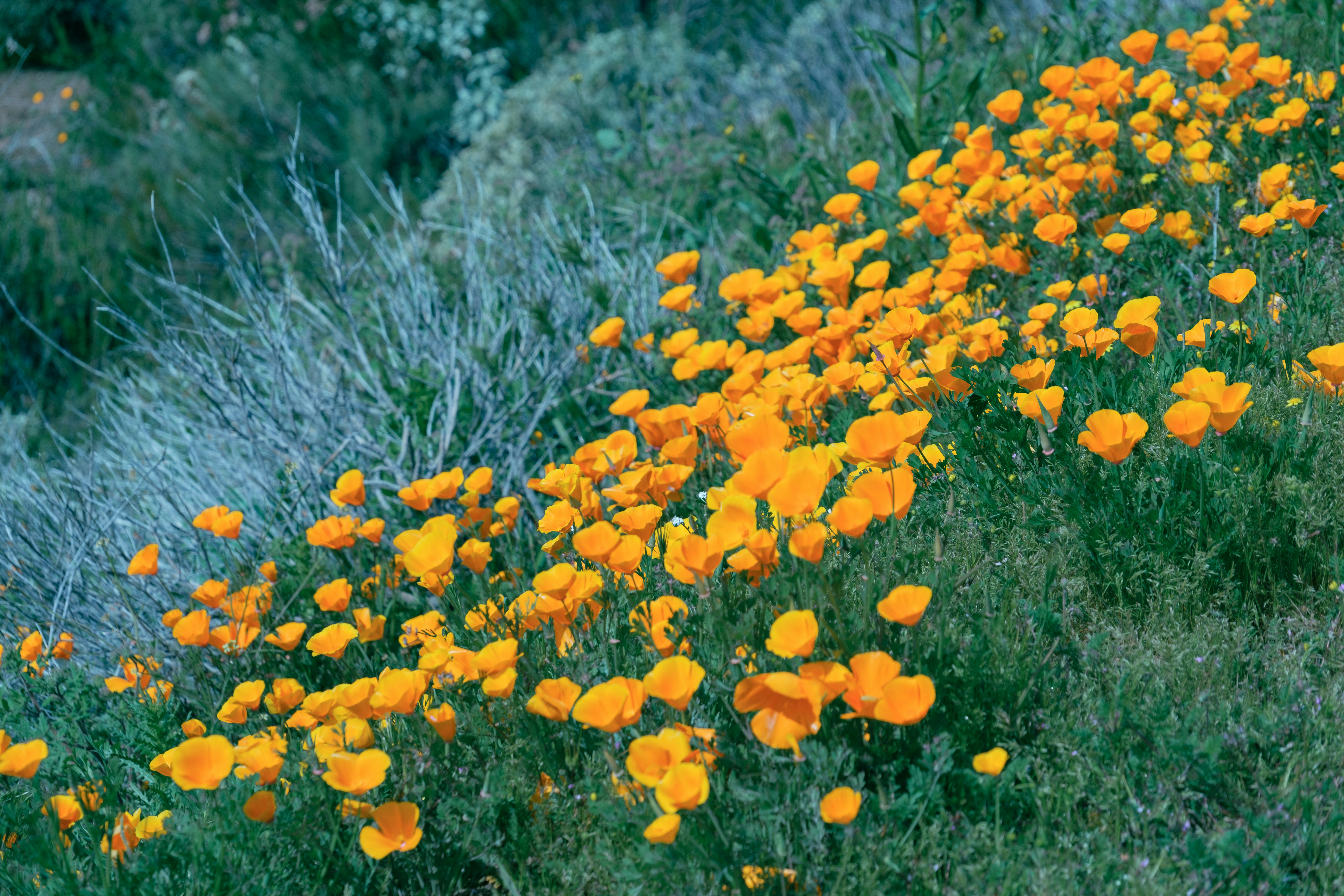 Photo by april_vasquez