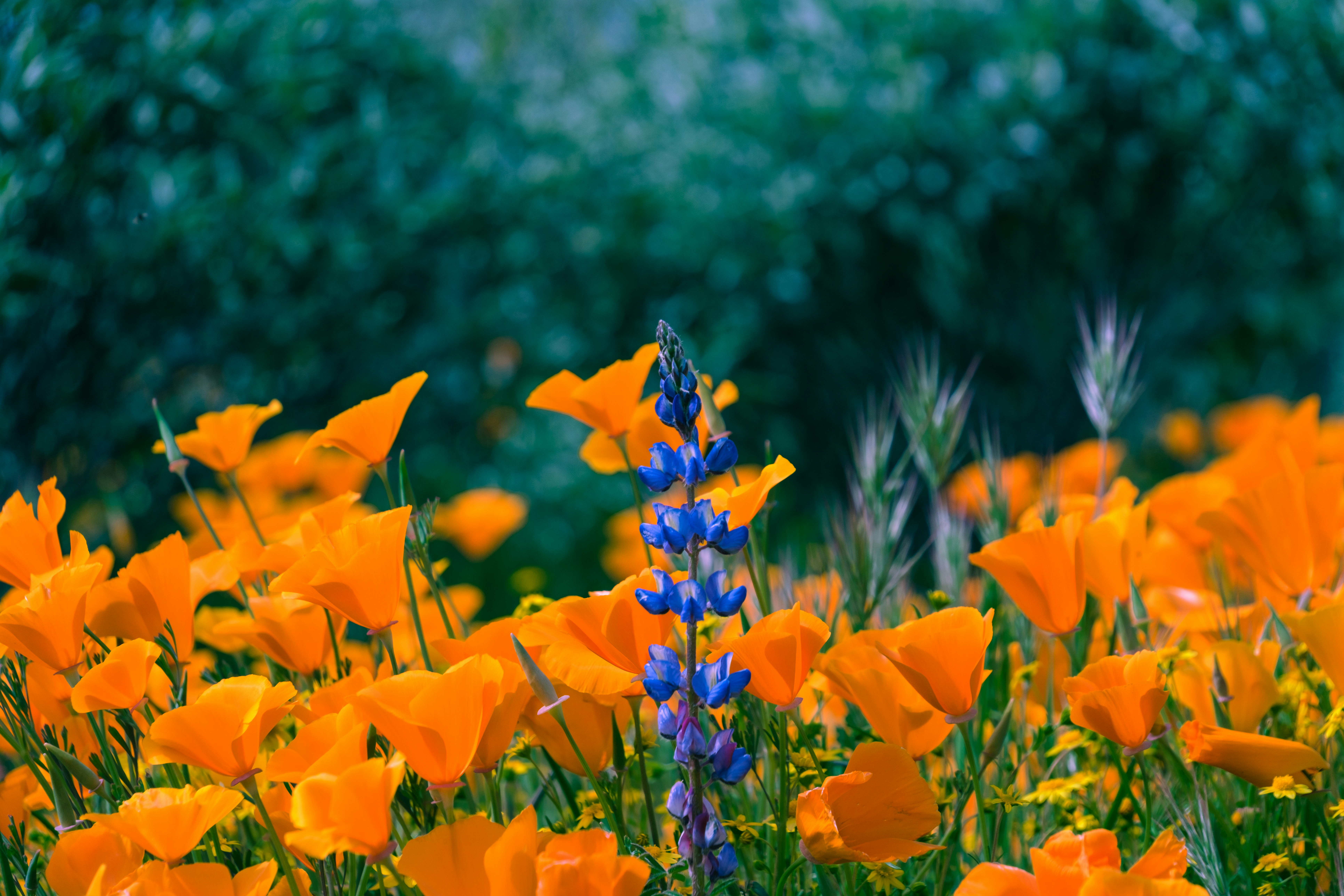 Photo by april_vasquez