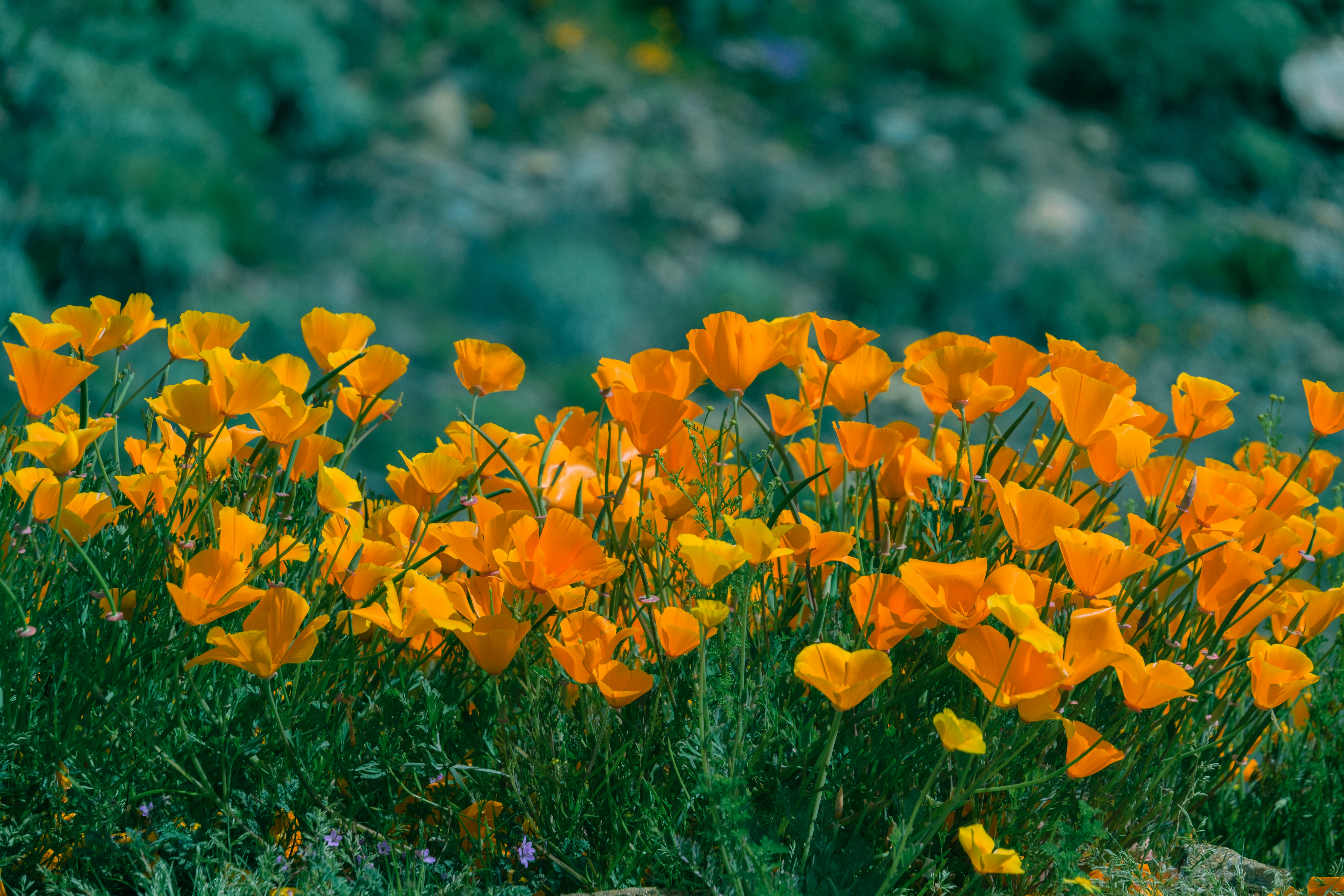 Photo by april_vasquez