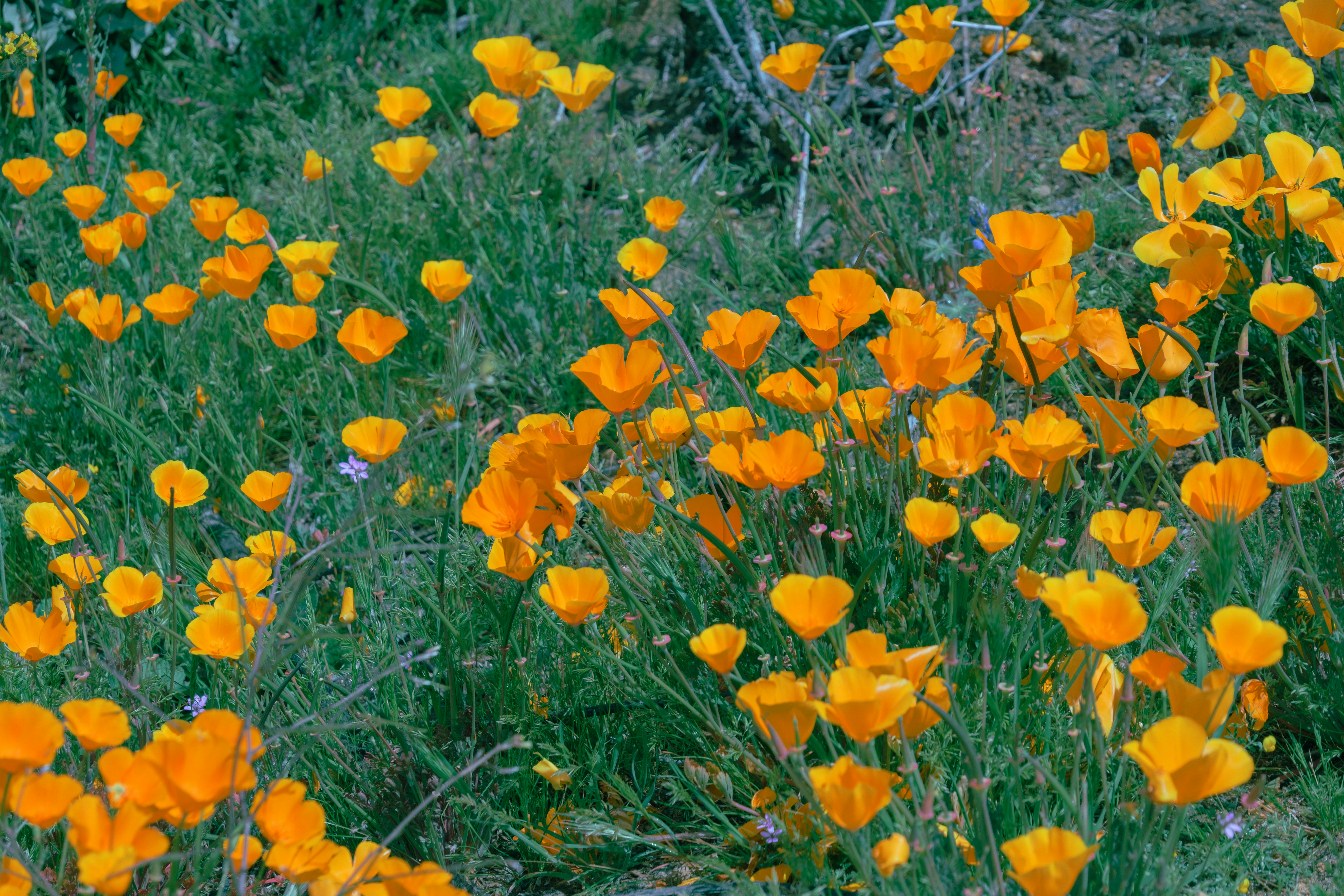 Photo by april_vasquez