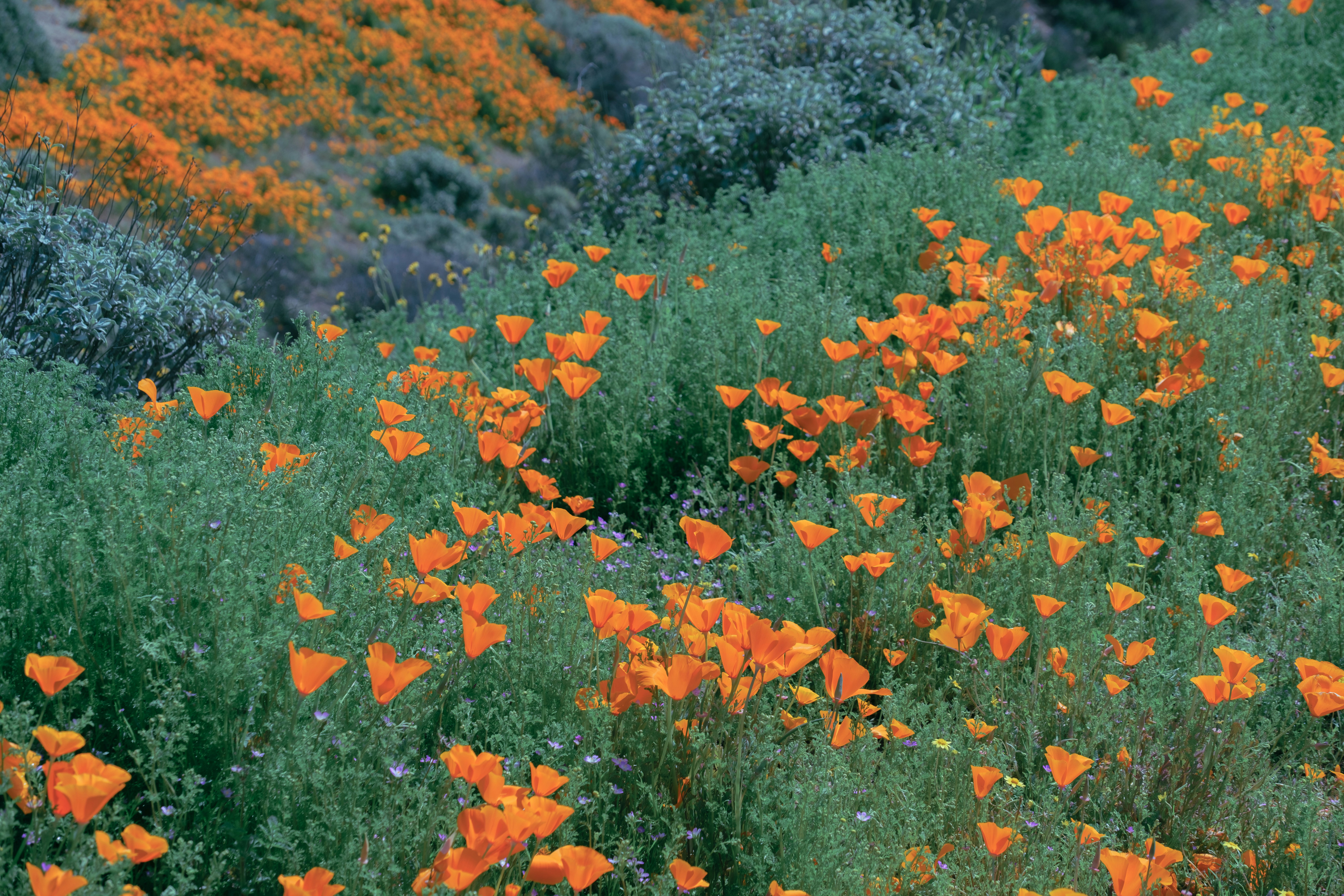 Photo by april_vasquez