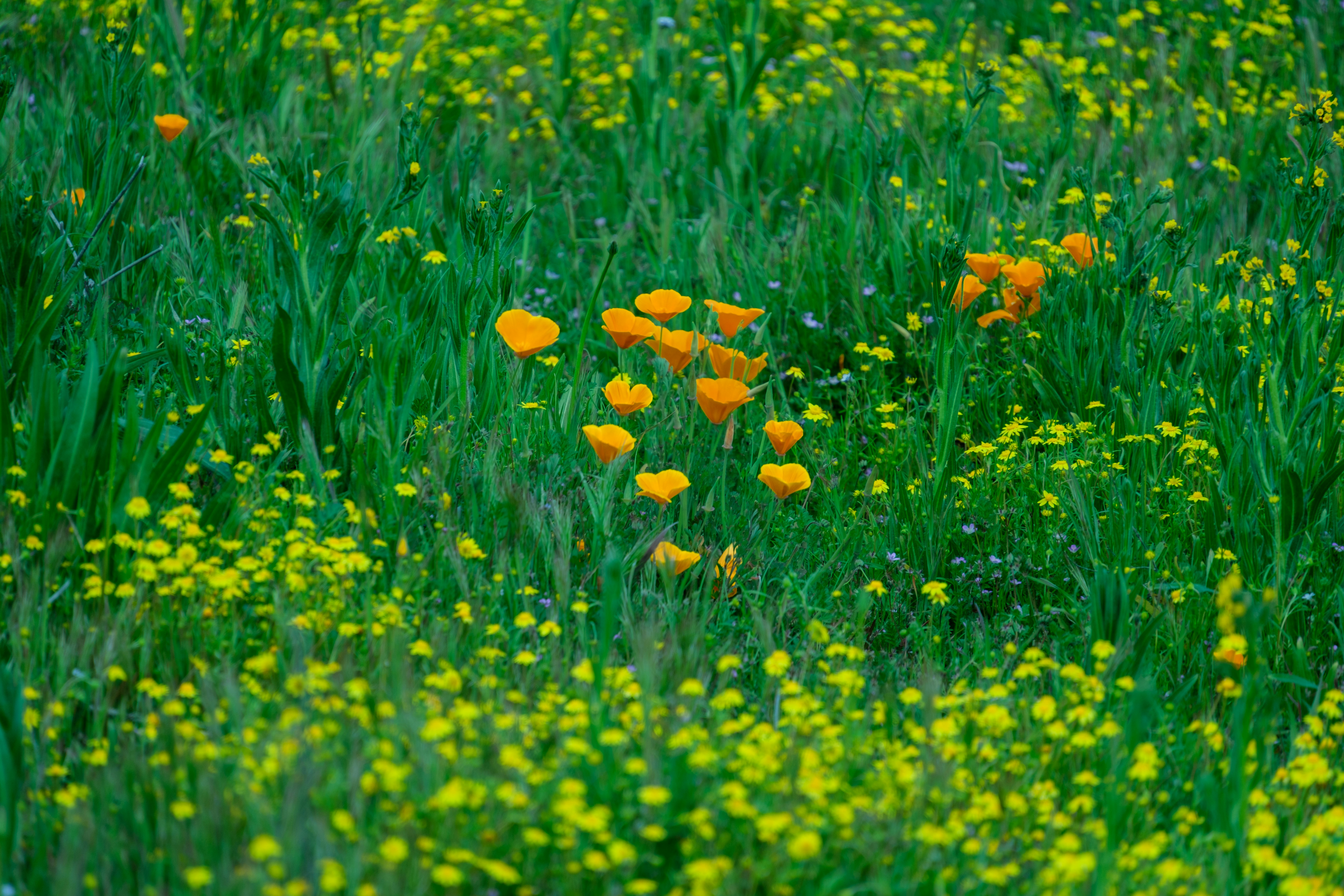 Photo by april_vasquez