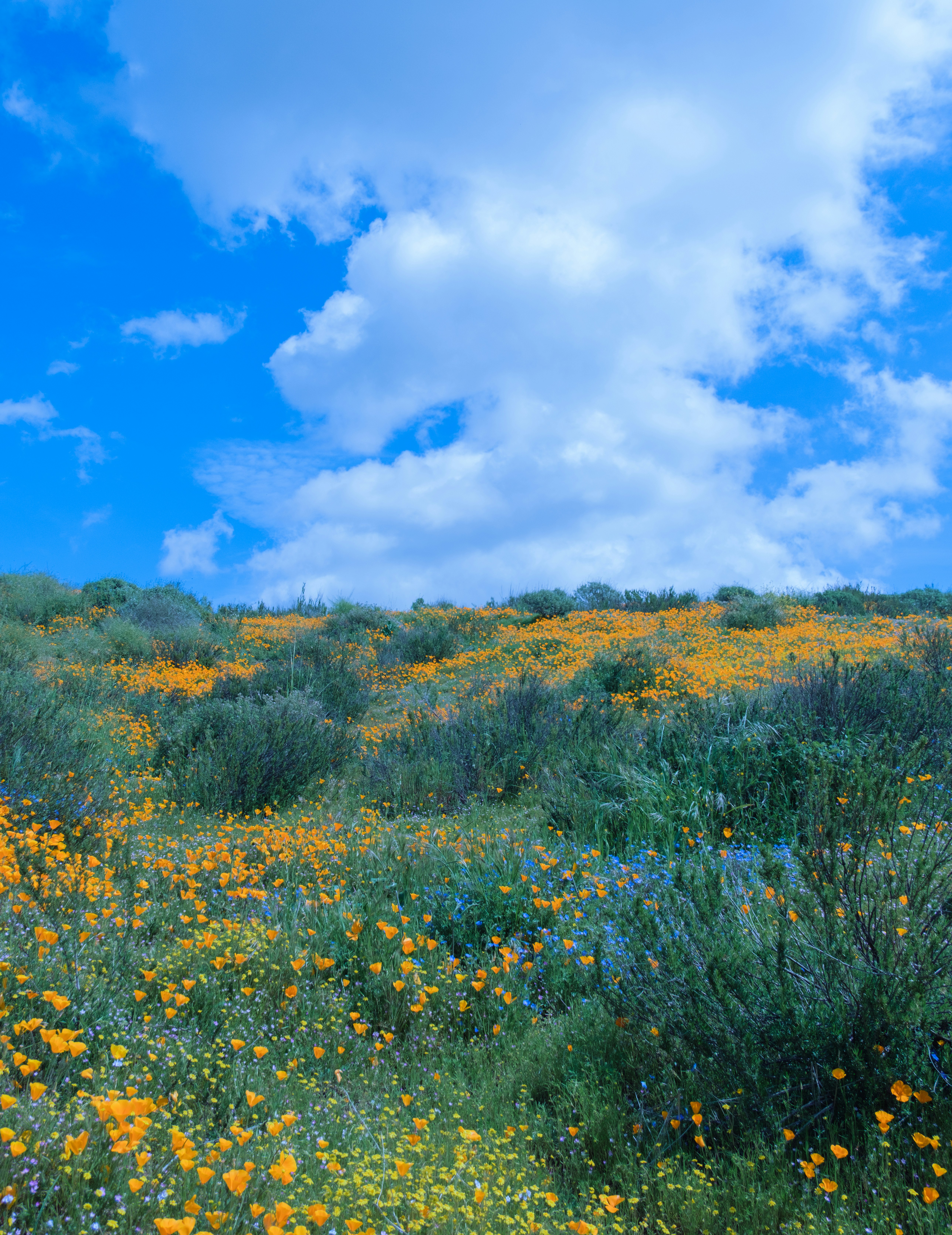 Photo by april_vasquez