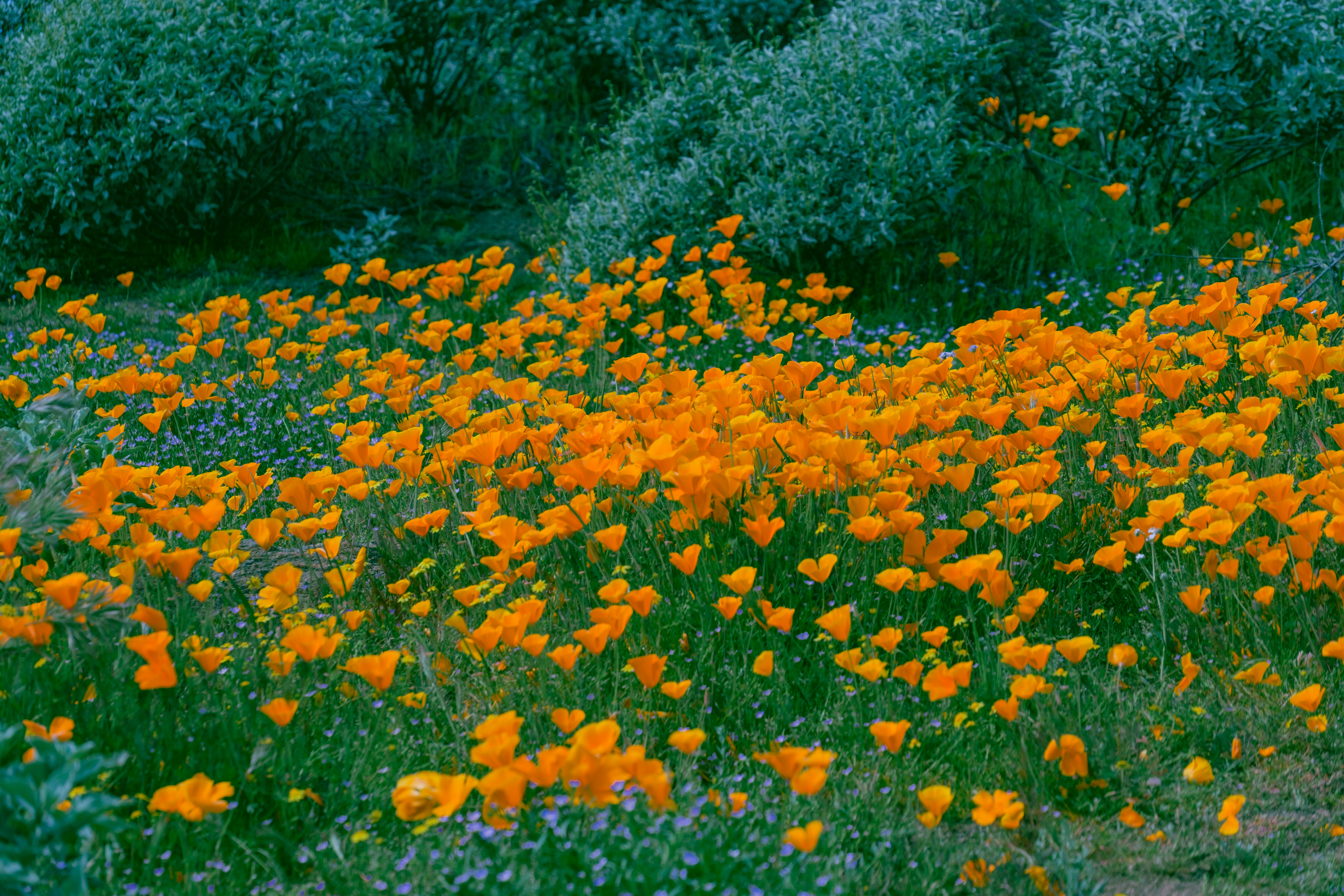 Photo by april_vasquez