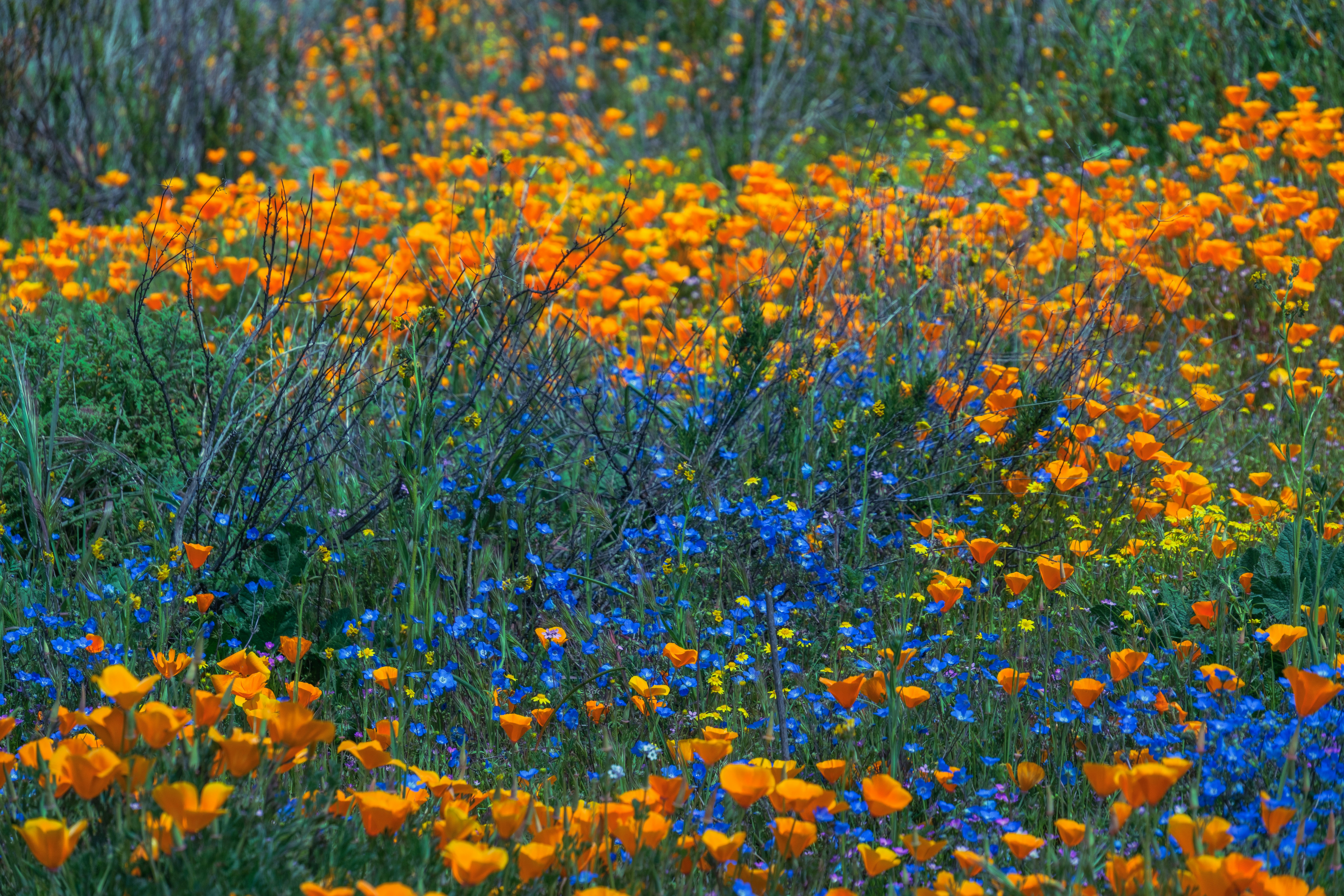 Photo by april_vasquez