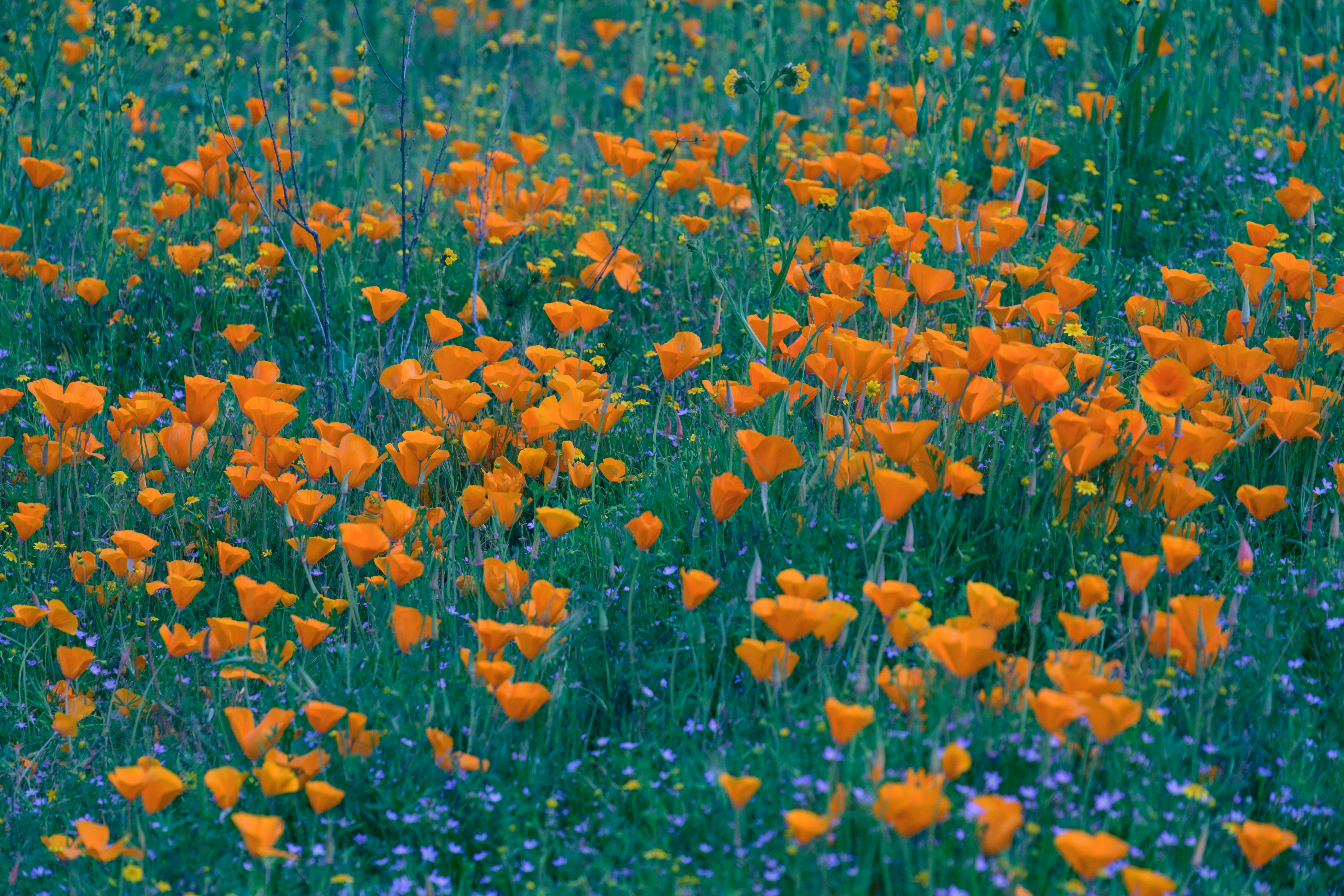 Photo by april_vasquez