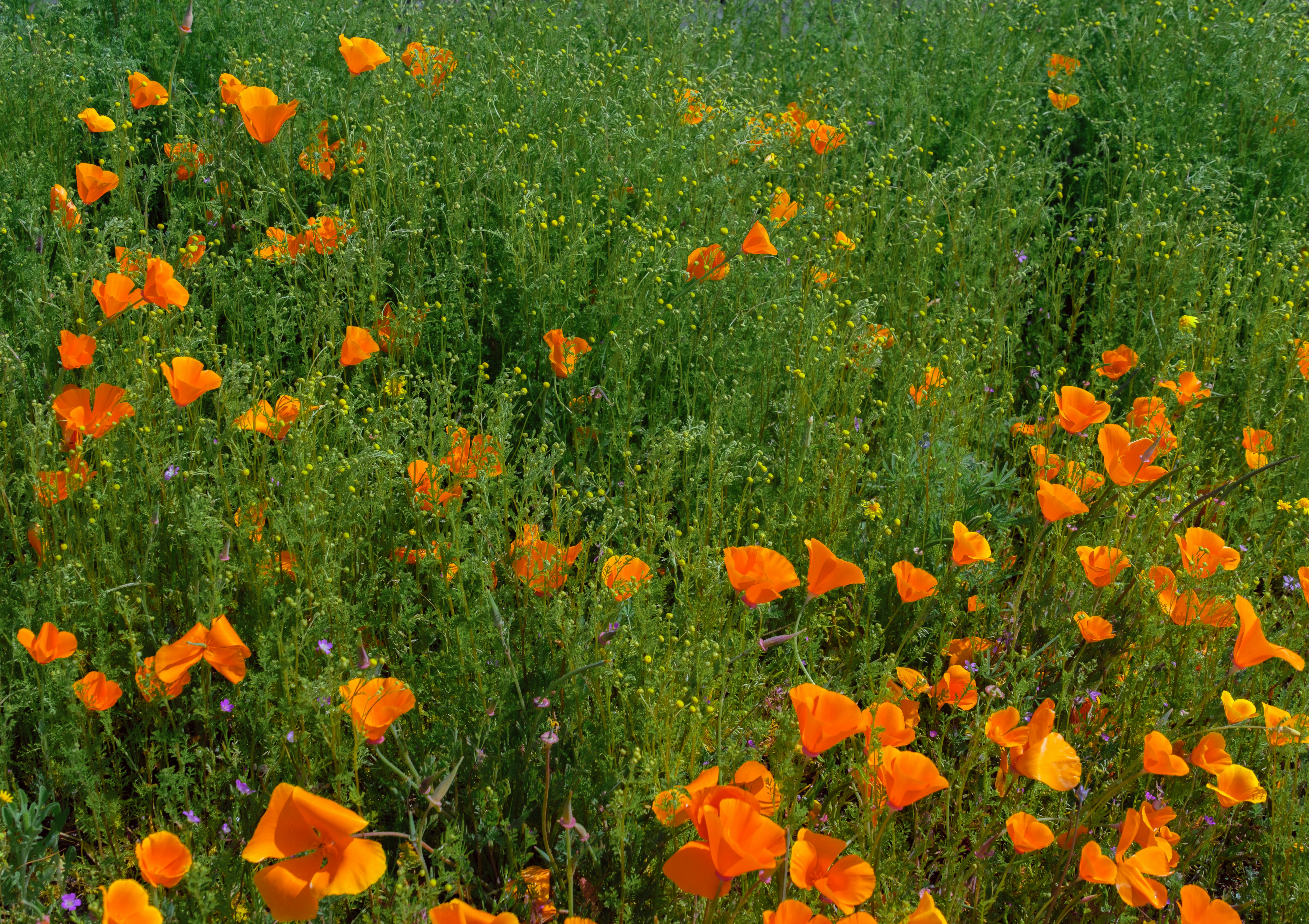 Photo by april_vasquez