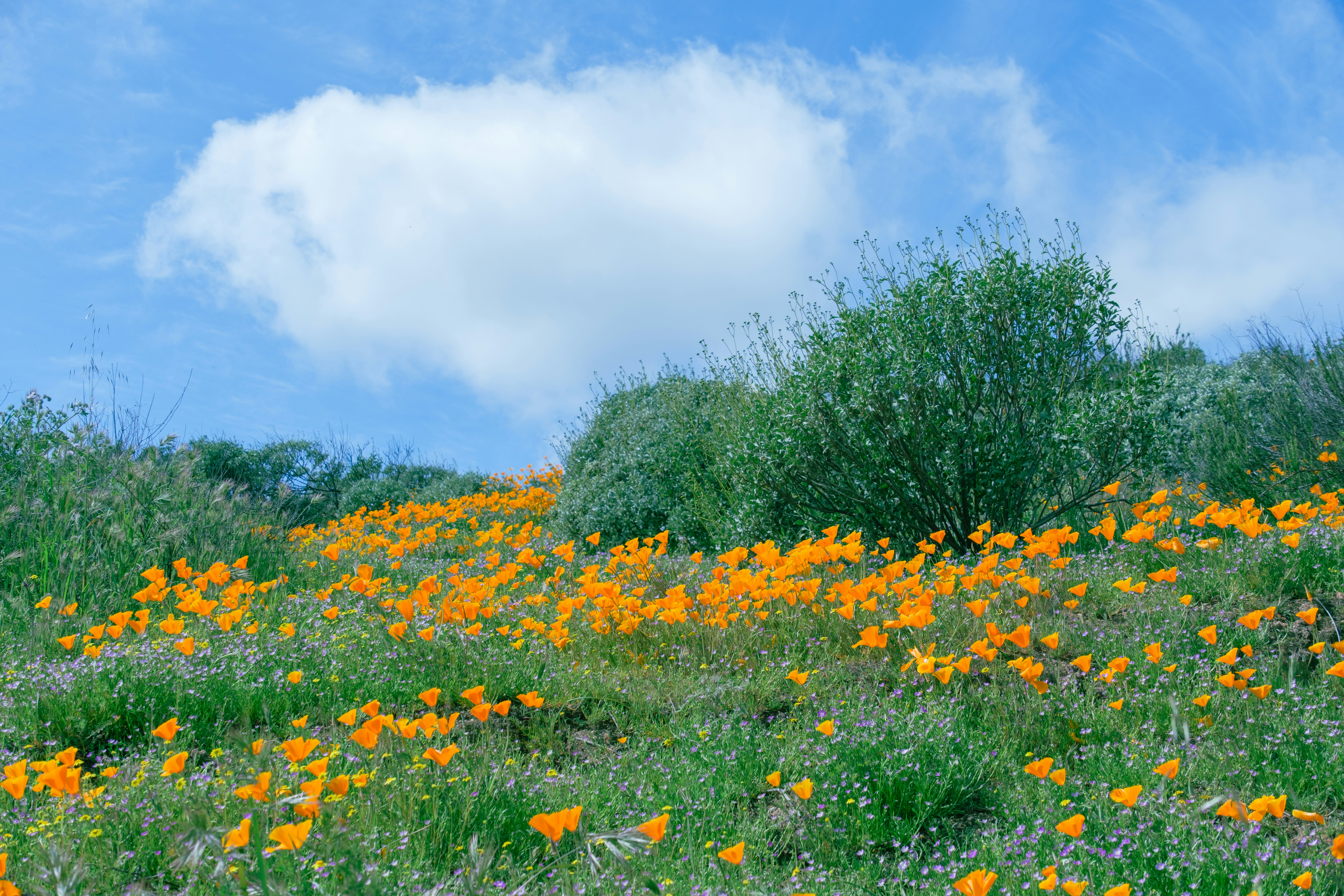 Photo by april_vasquez