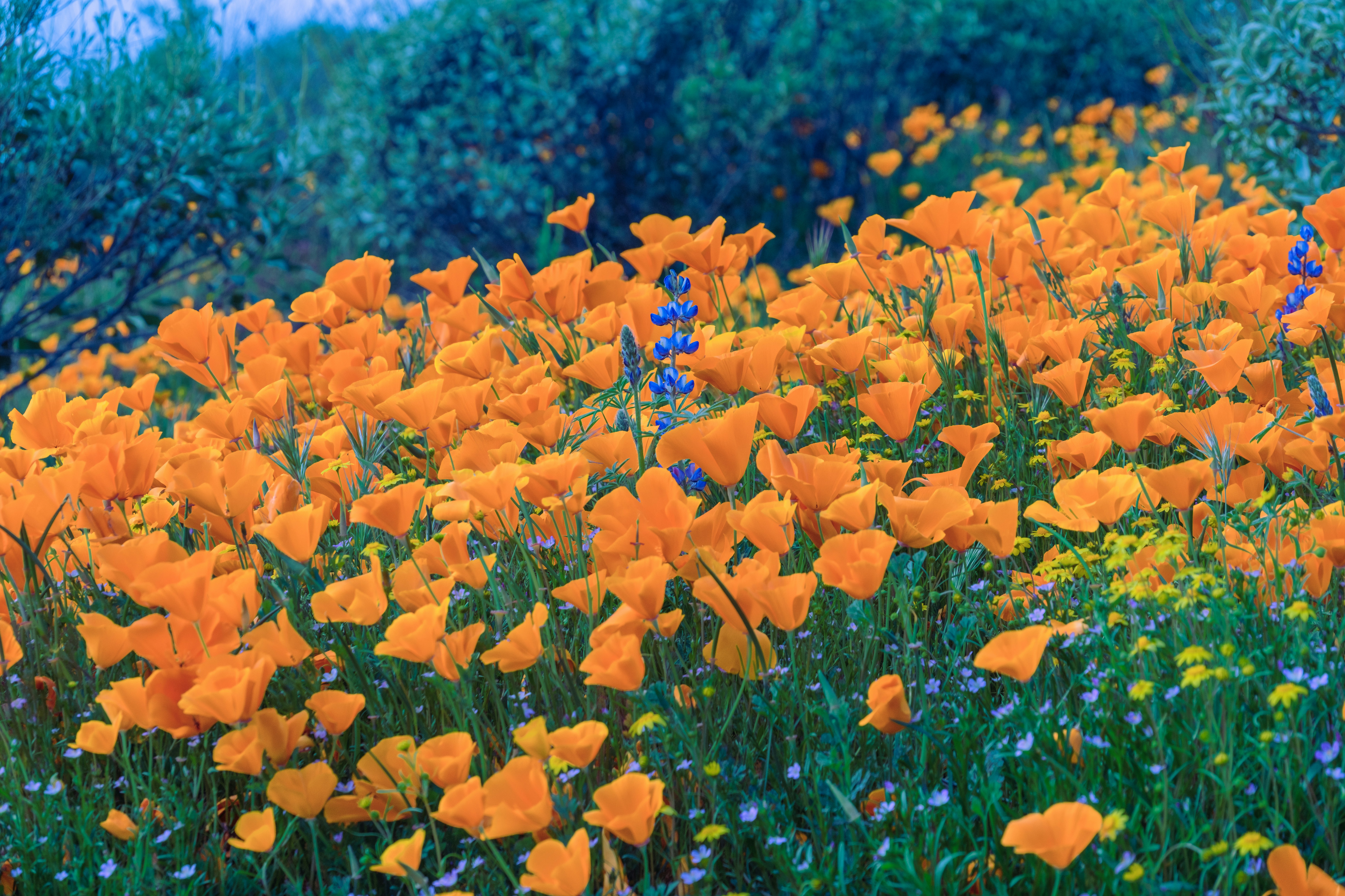 Photo by april_vasquez