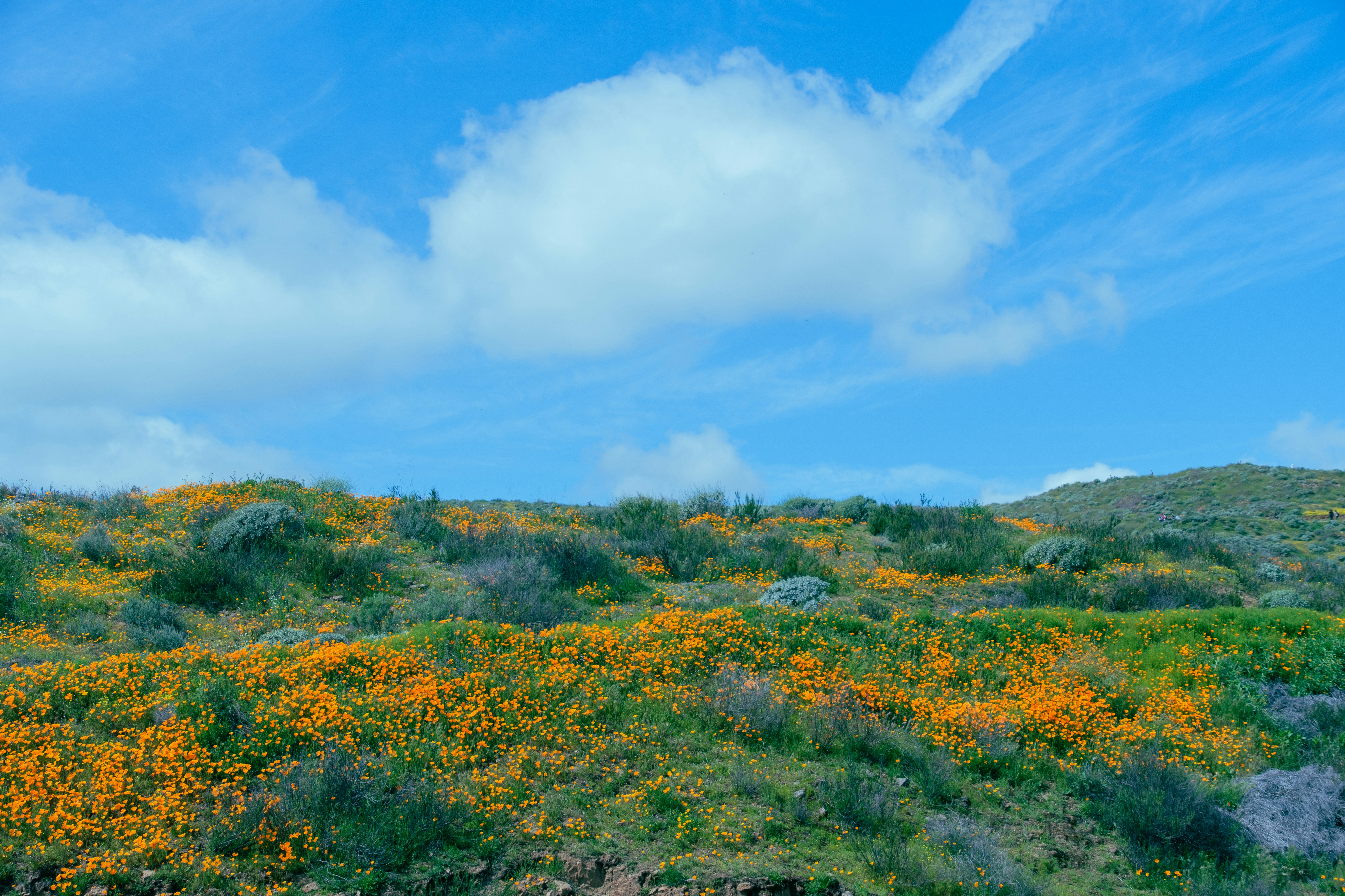 Photo by april_vasquez