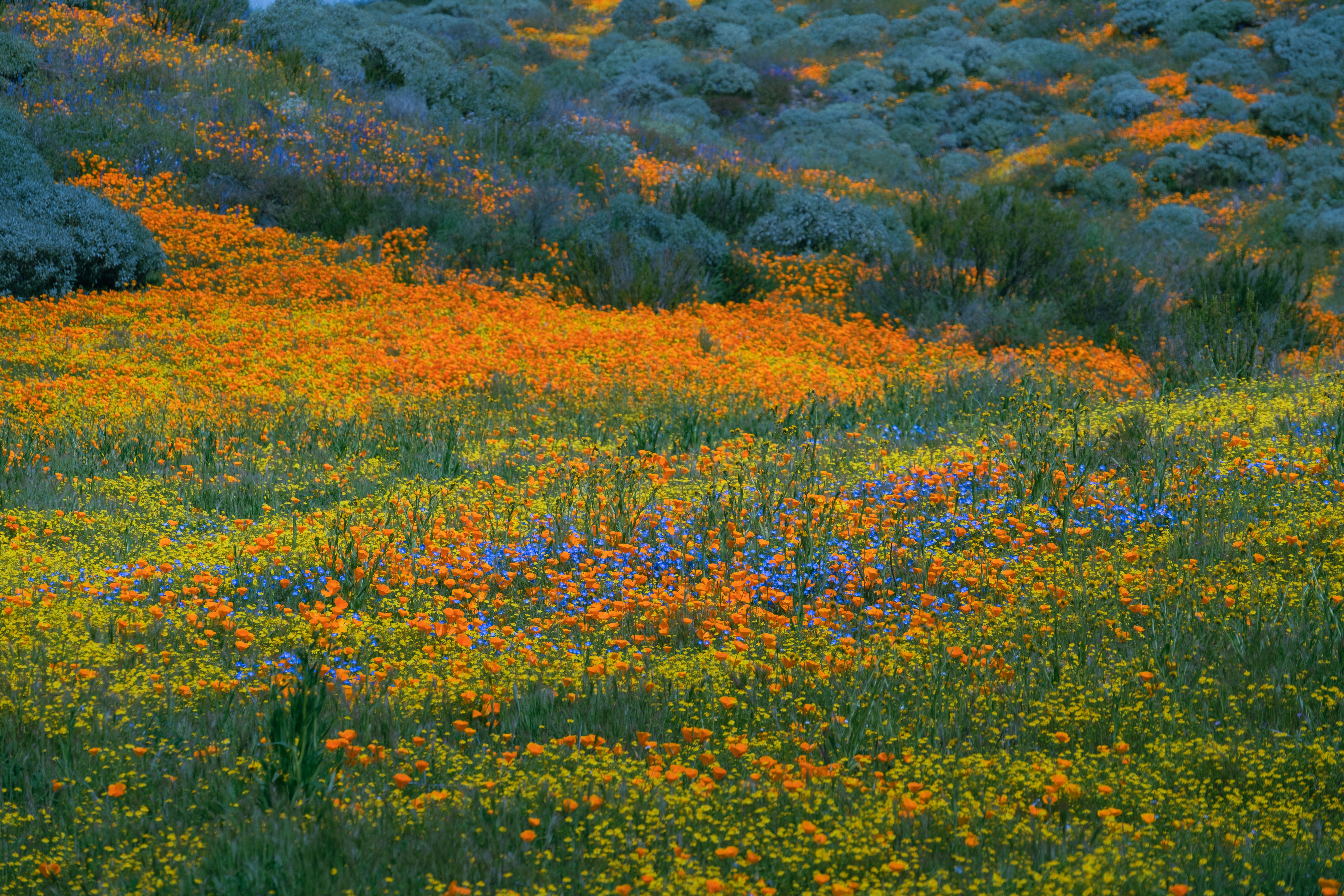 Photo by april_vasquez