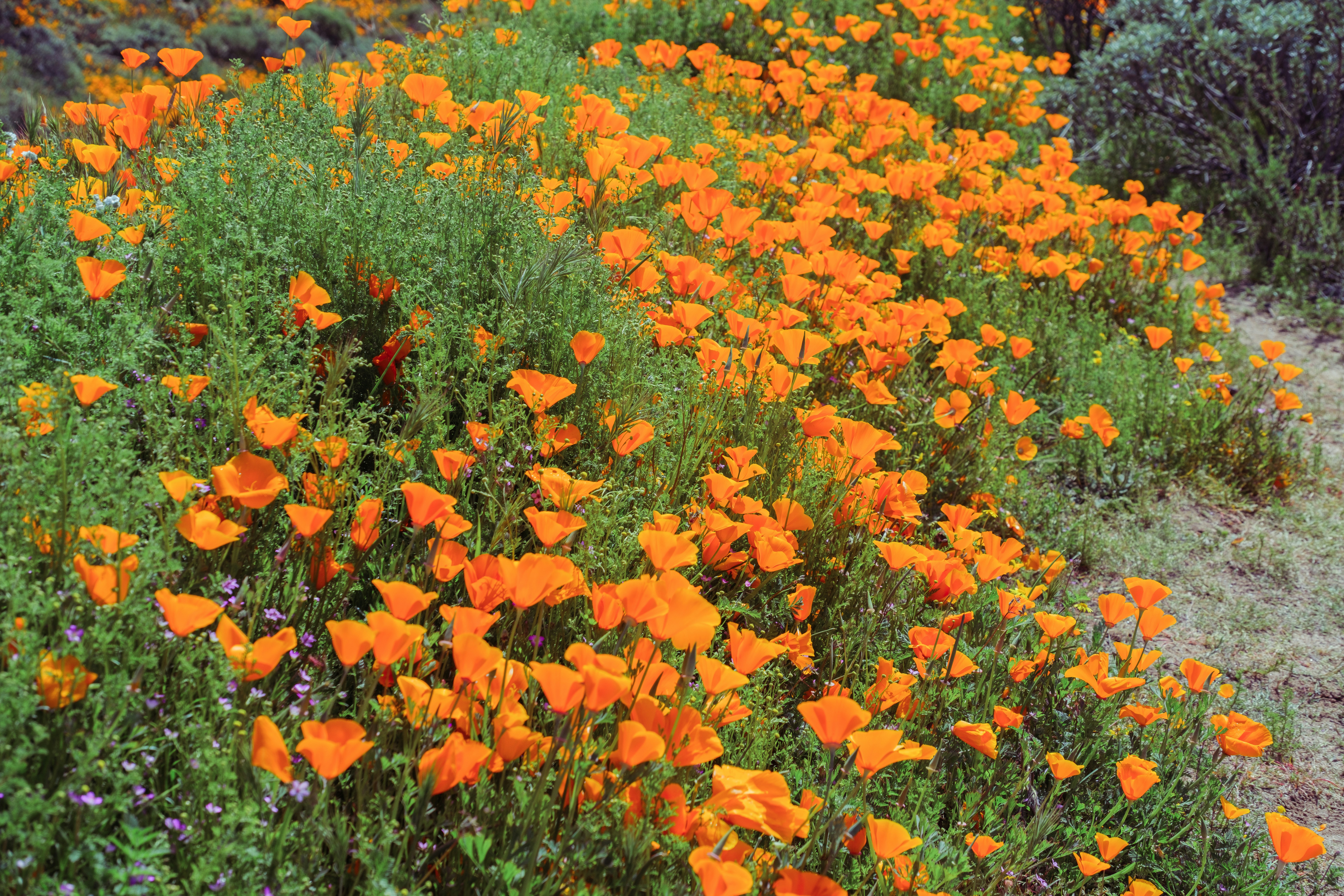 Photo by april_vasquez