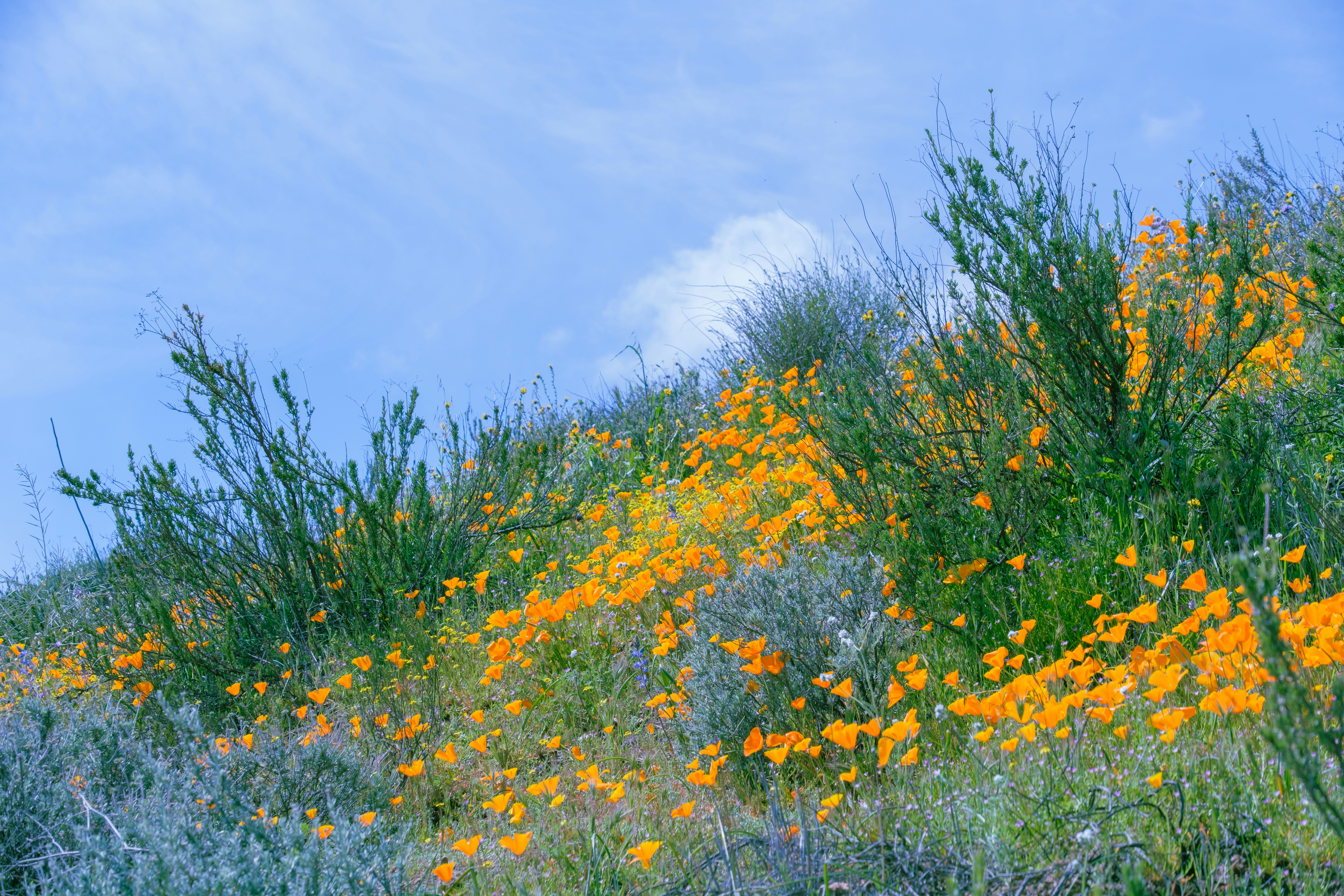 Photo by april_vasquez