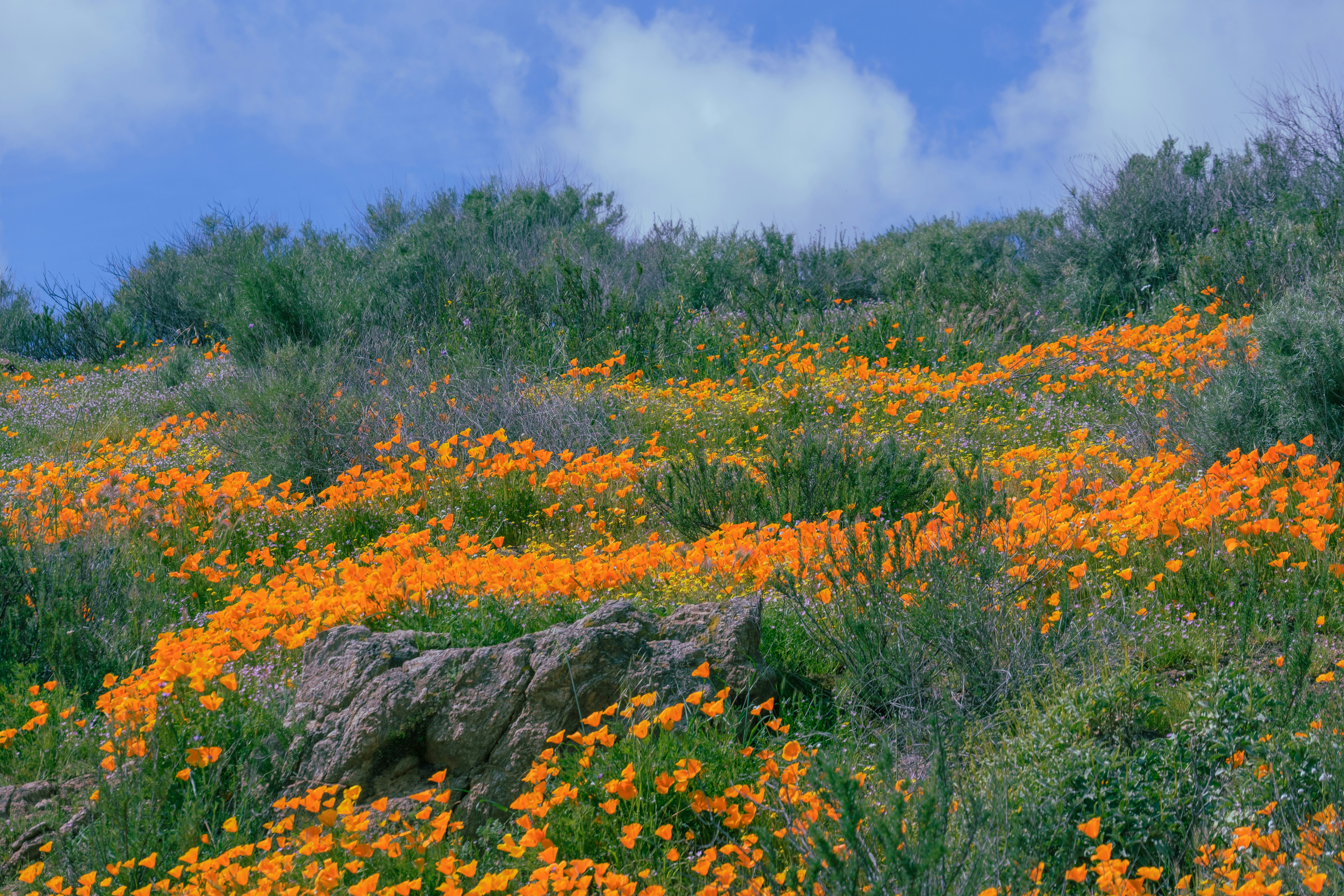 Photo by april_vasquez