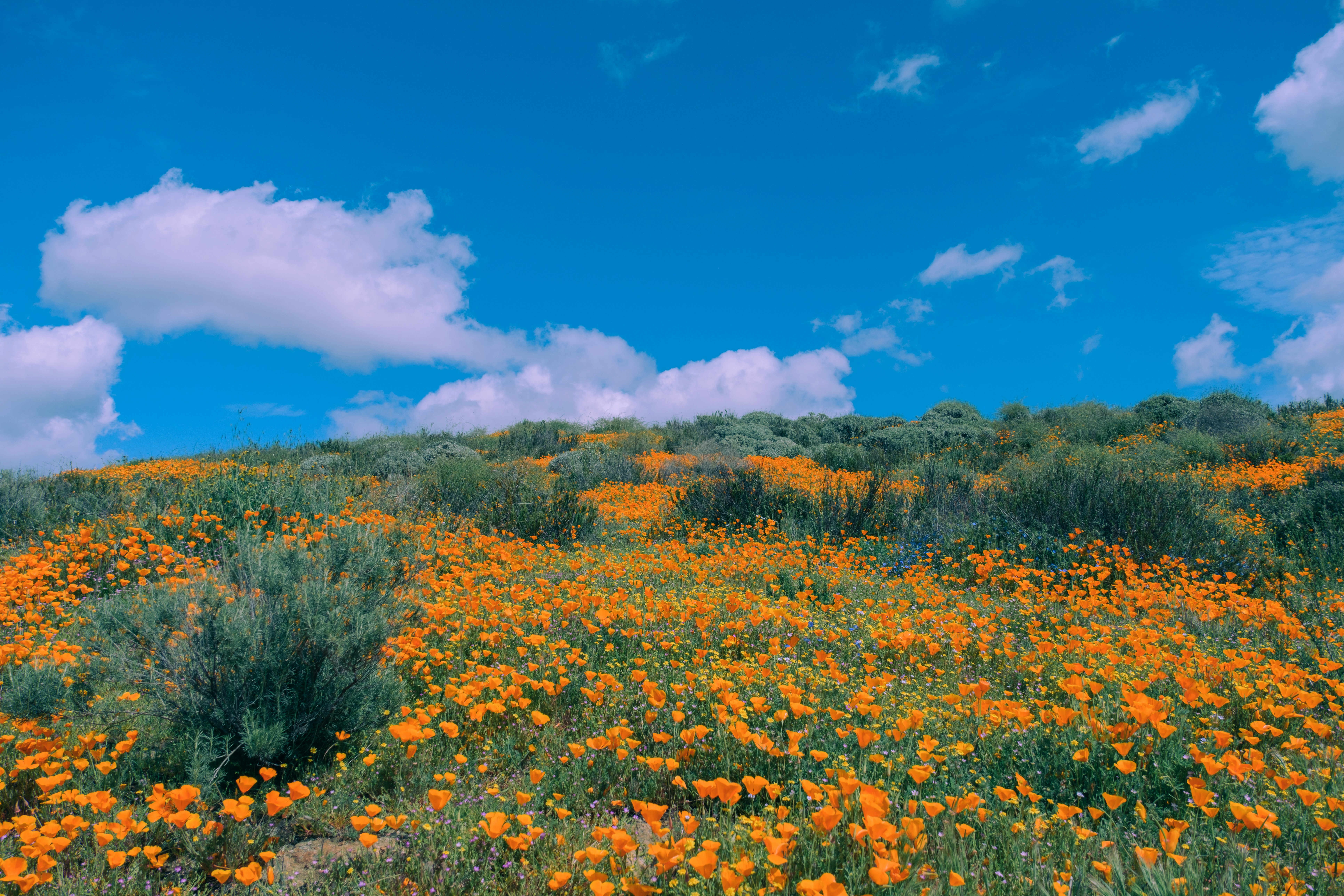 Photo by april_vasquez