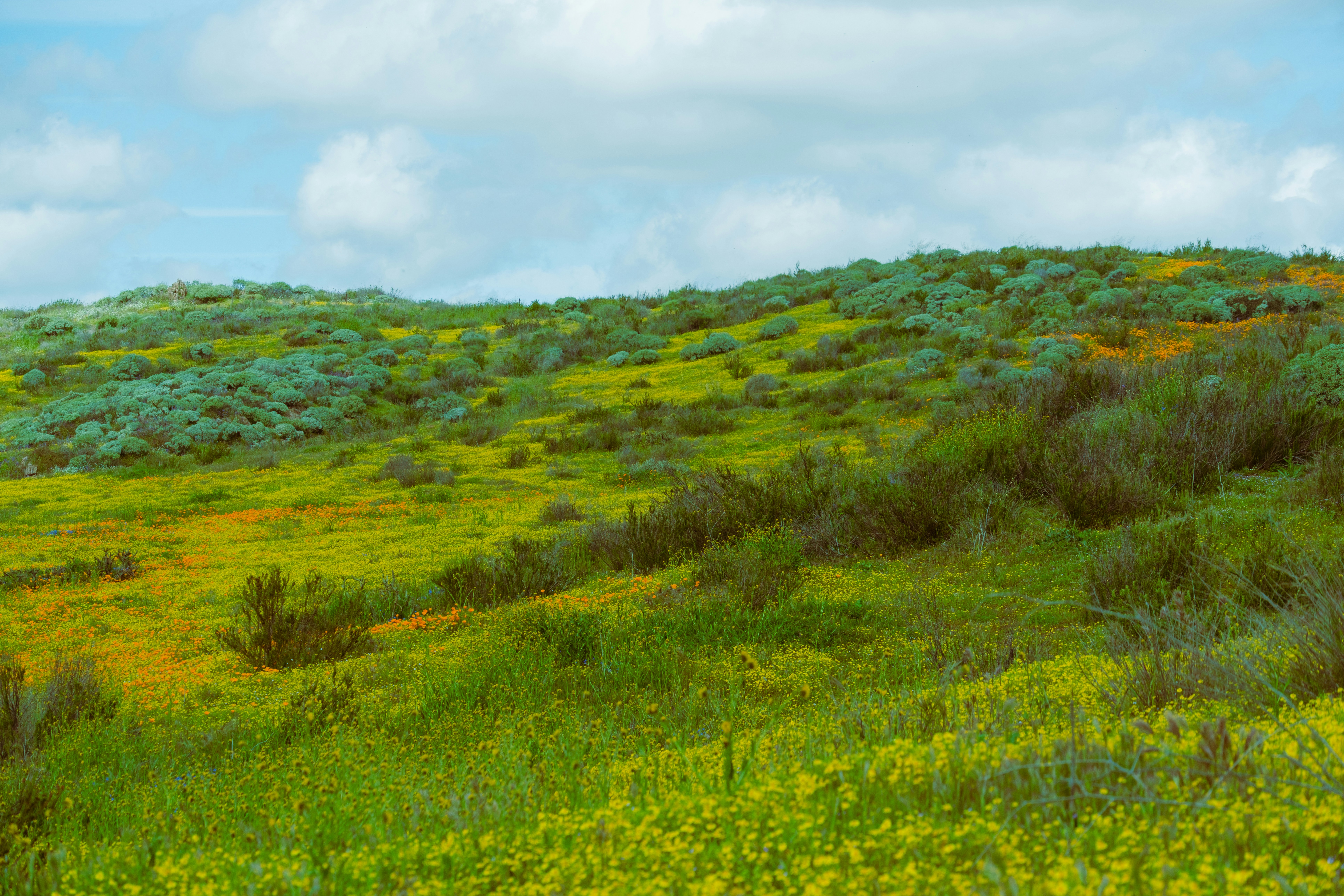 Photo by april_vasquez