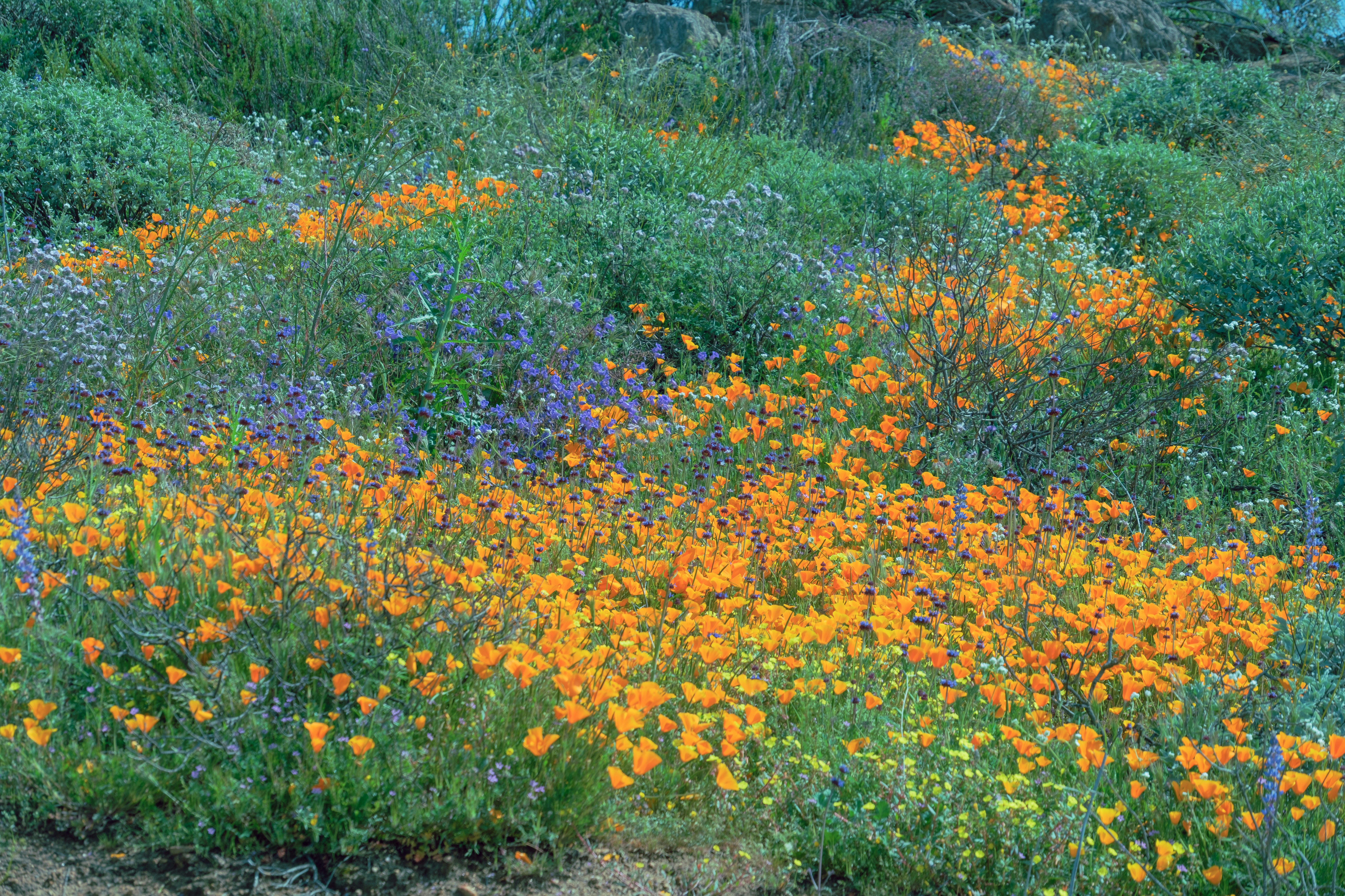 Photo by april_vasquez