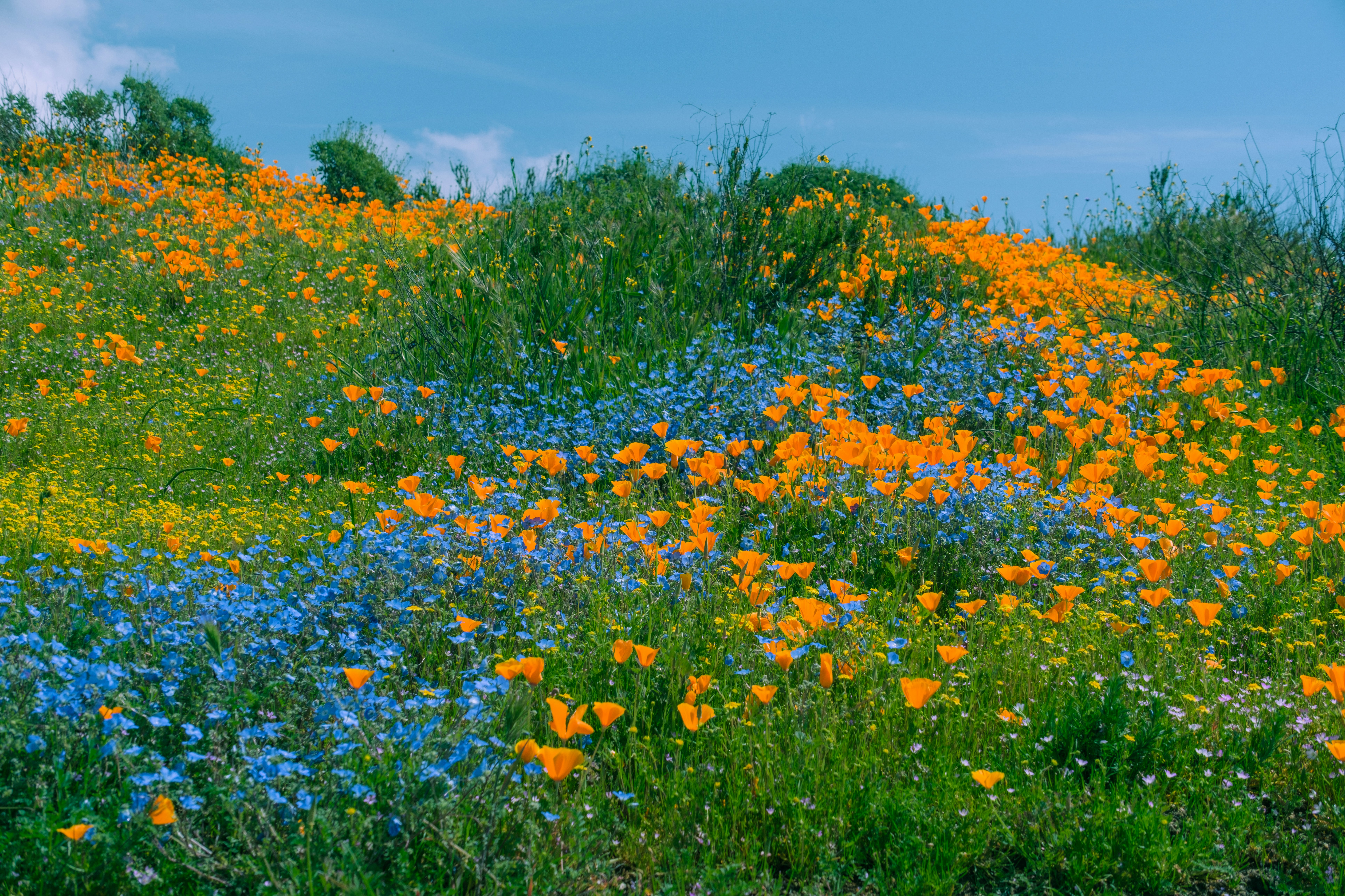 Photo by april_vasquez