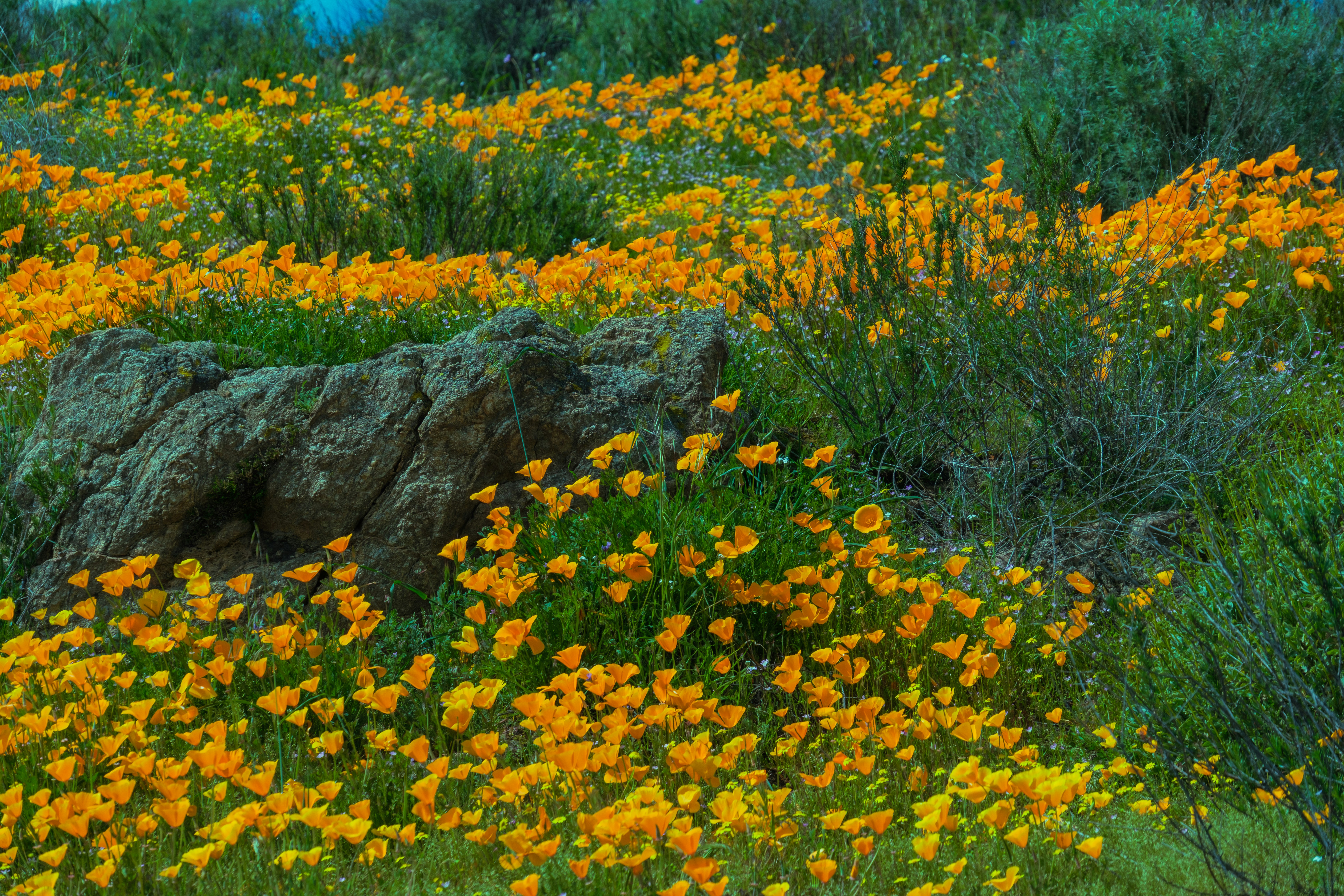 Photo by april_vasquez