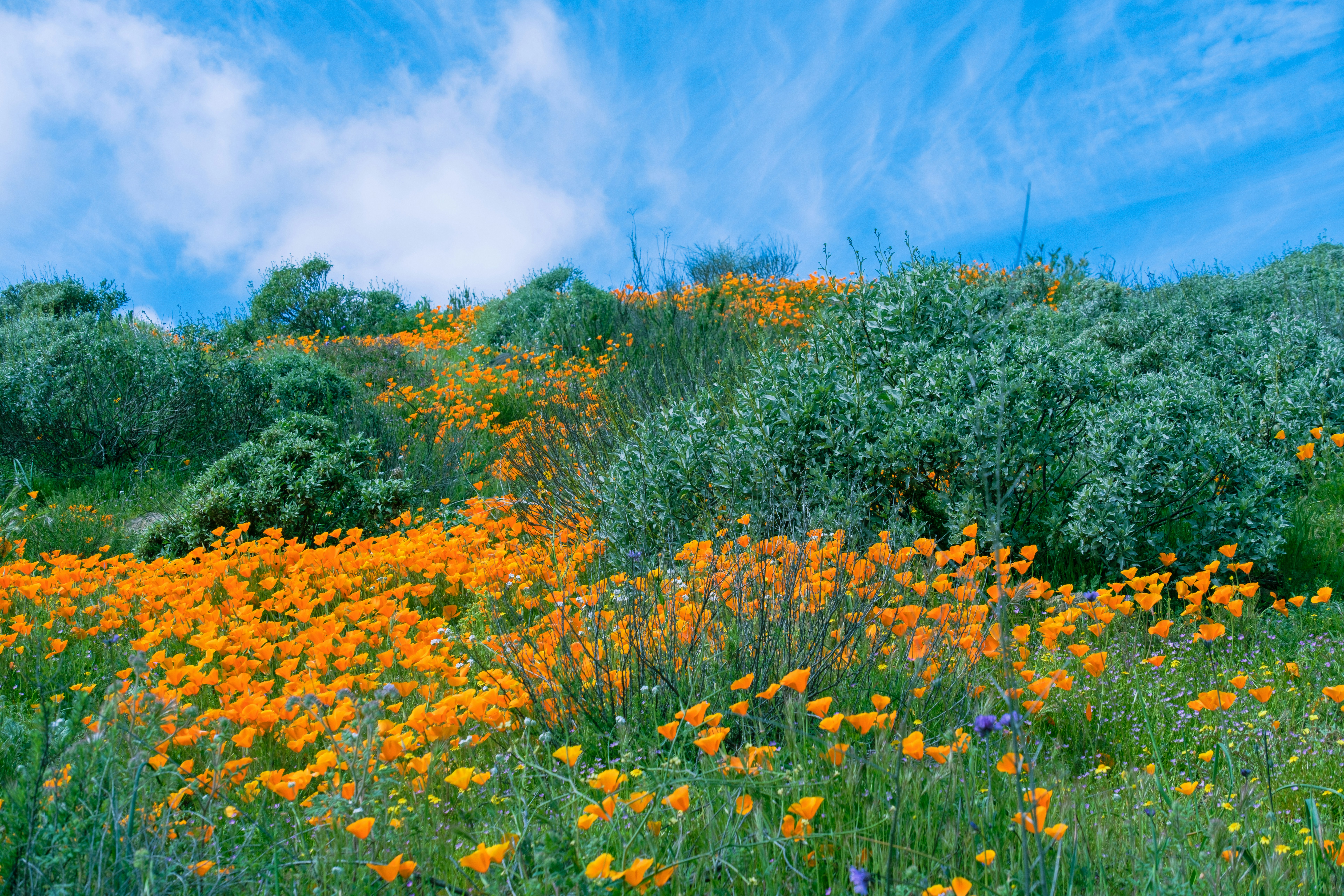 Photo by april_vasquez