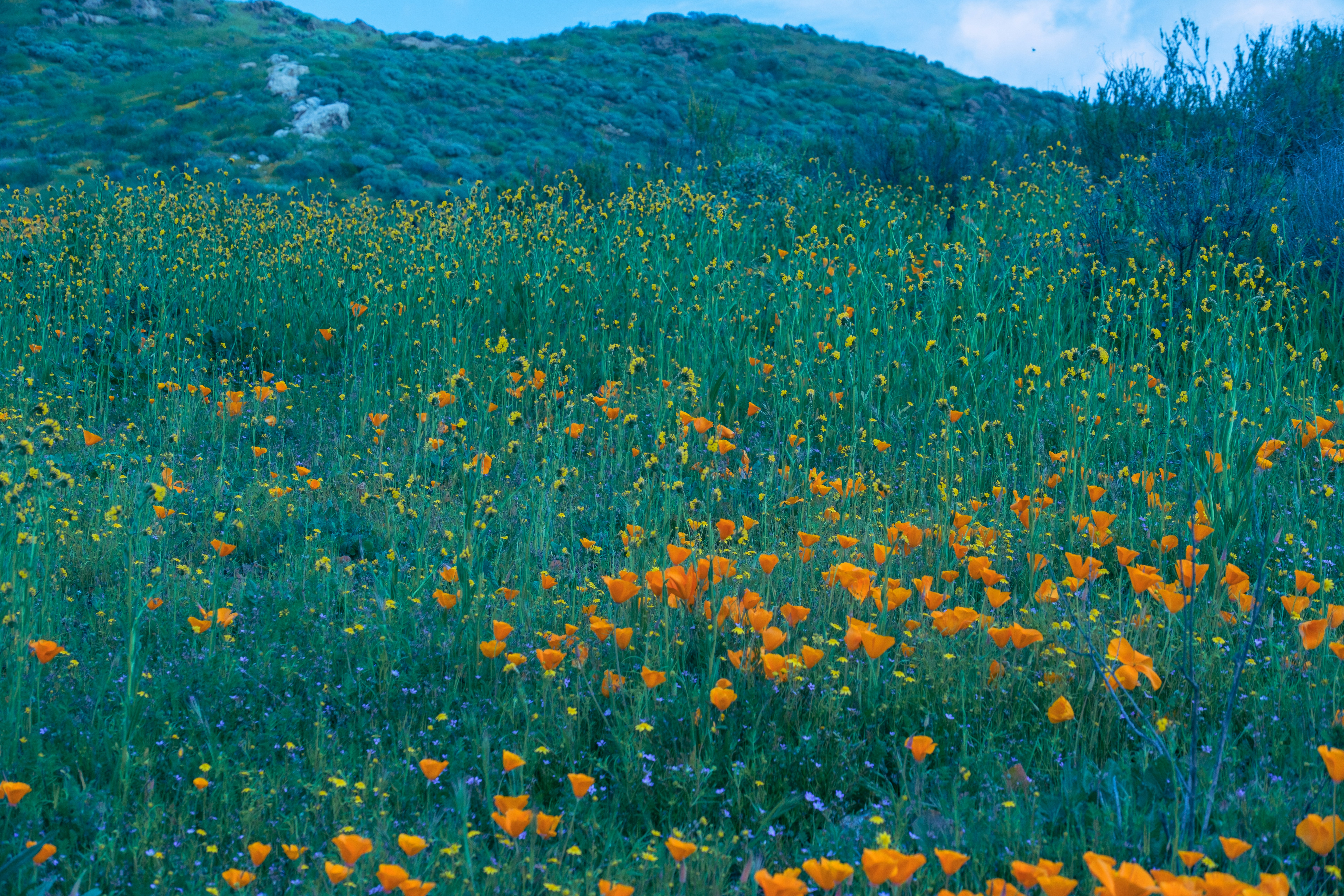 Photo by april_vasquez