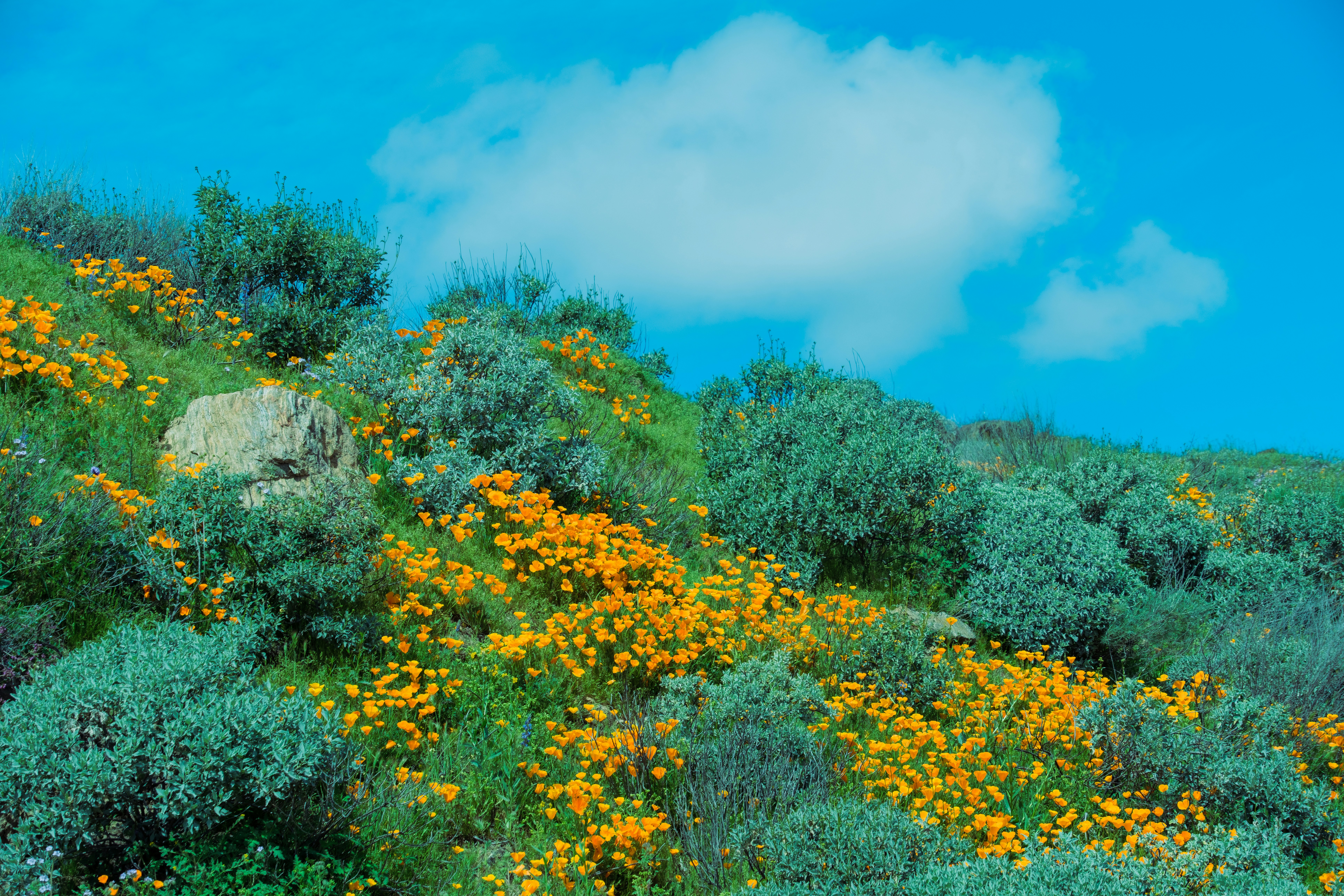 Photo by april_vasquez