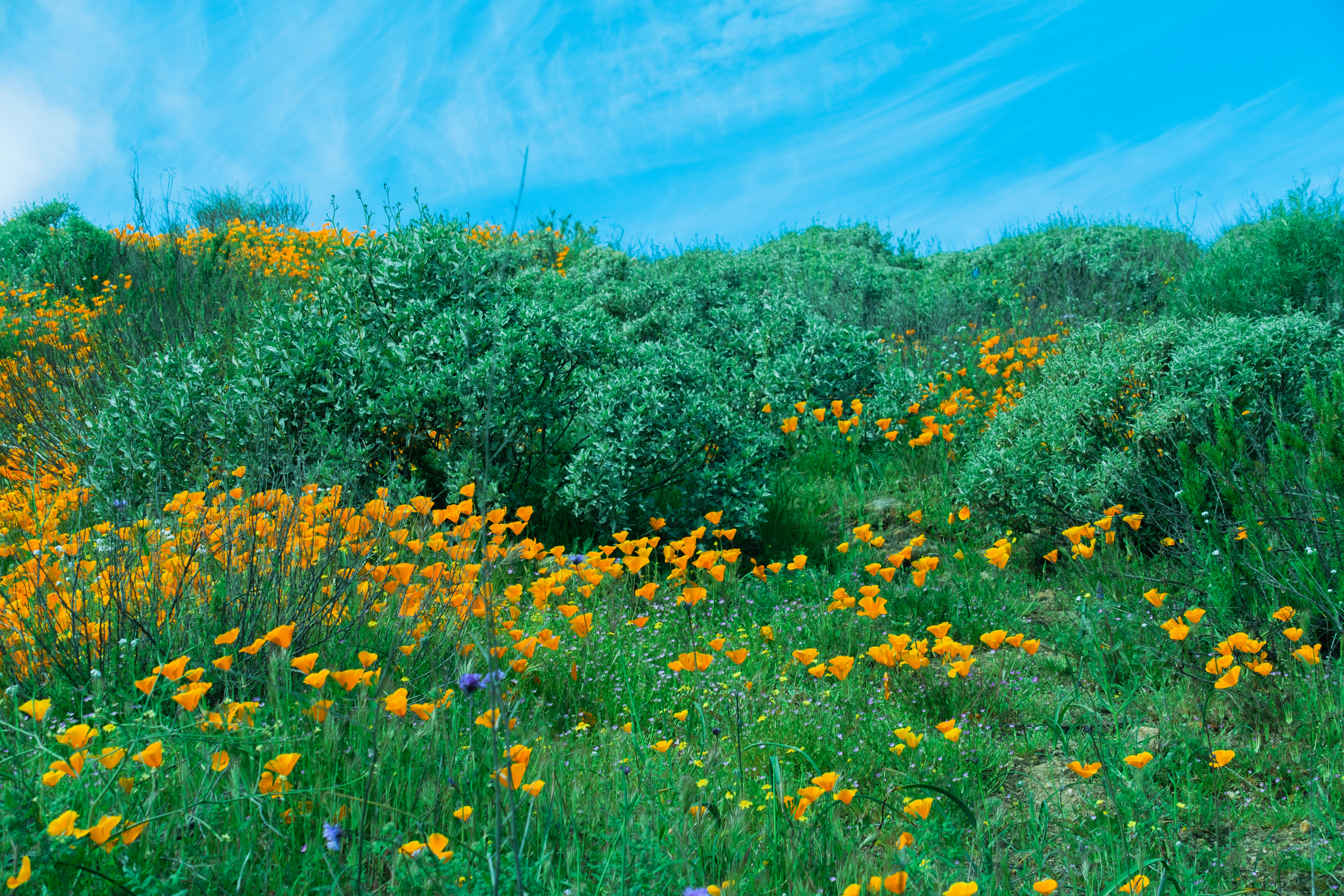 Photo by april_vasquez