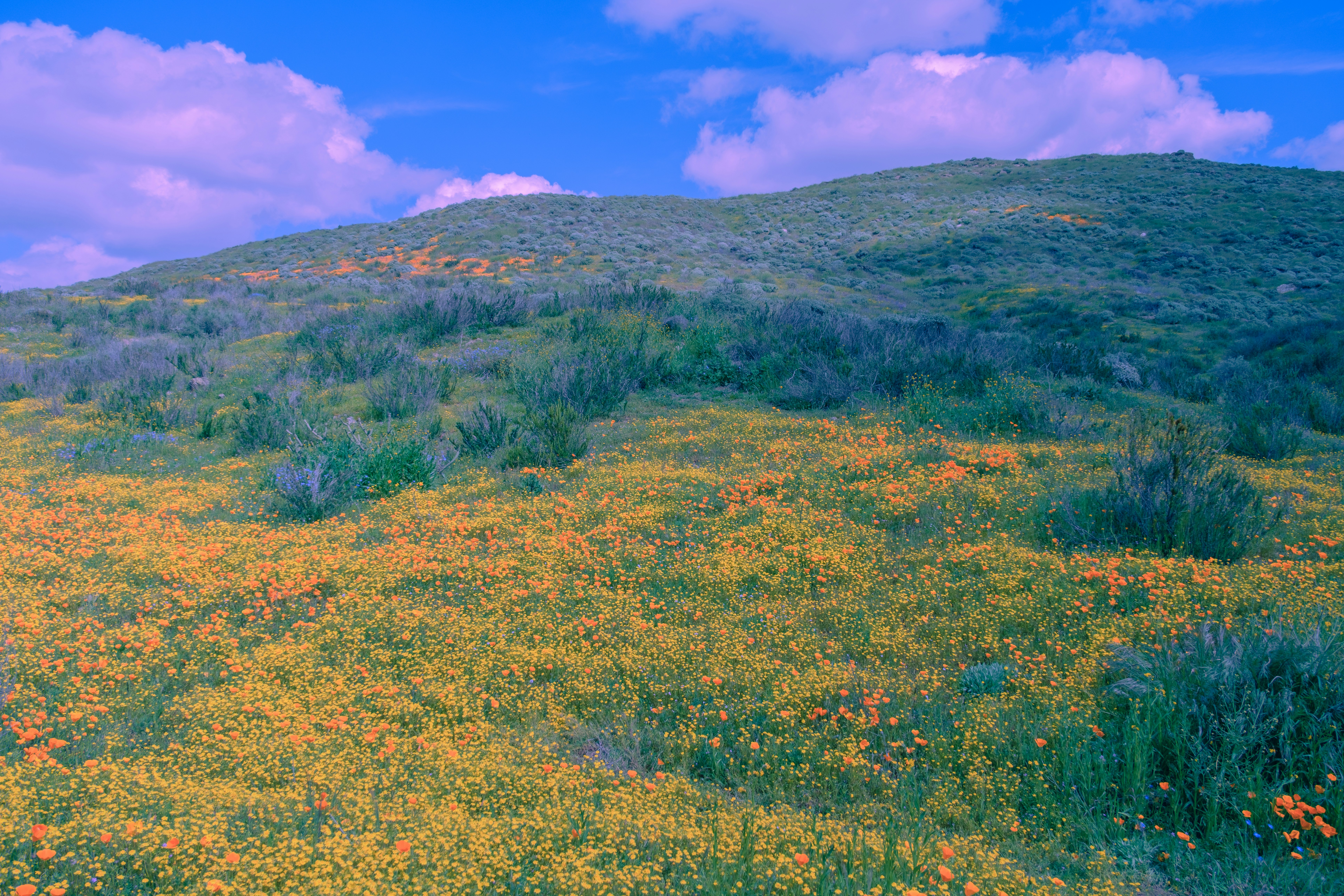 Photo by april_vasquez